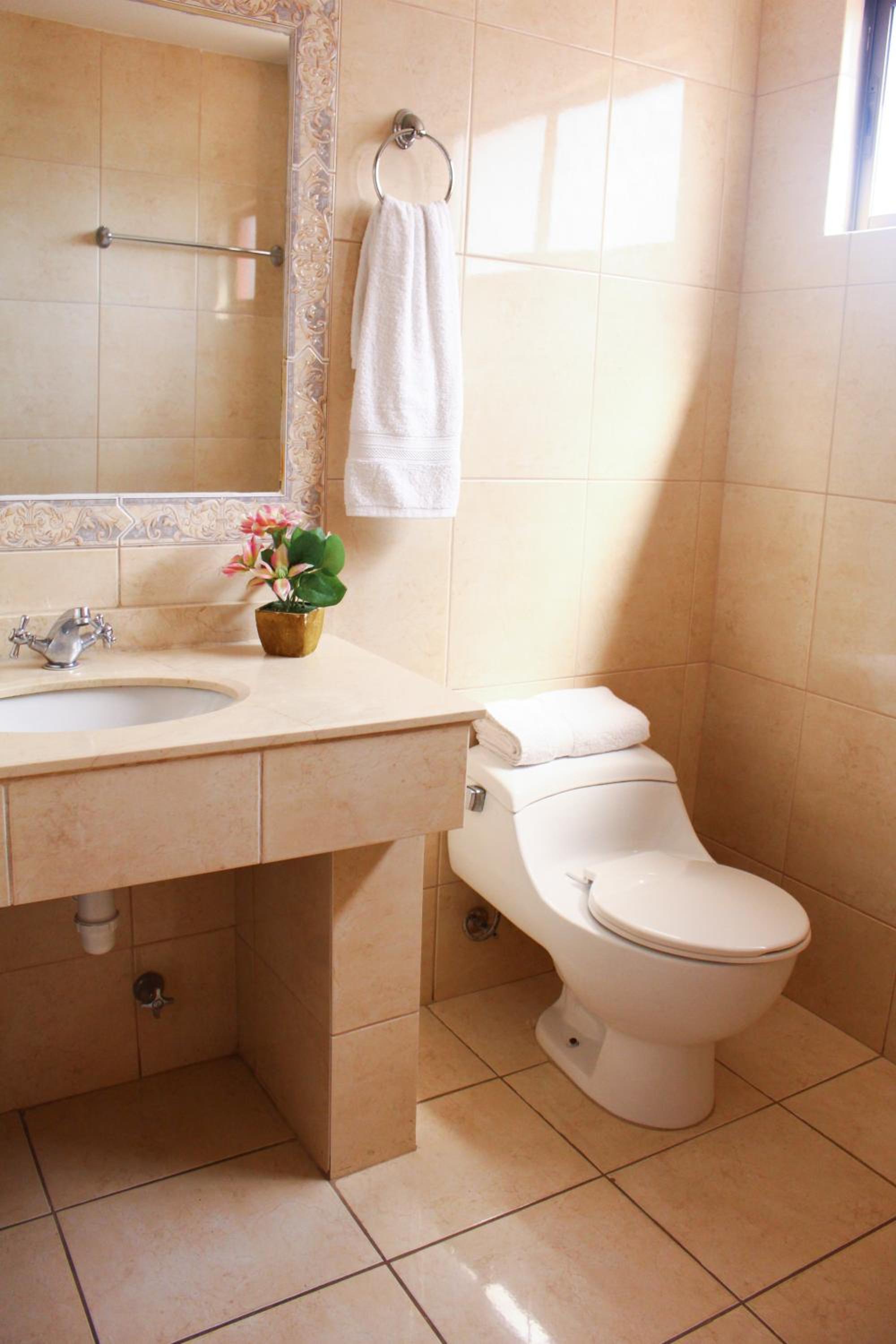 Single Room photo 2