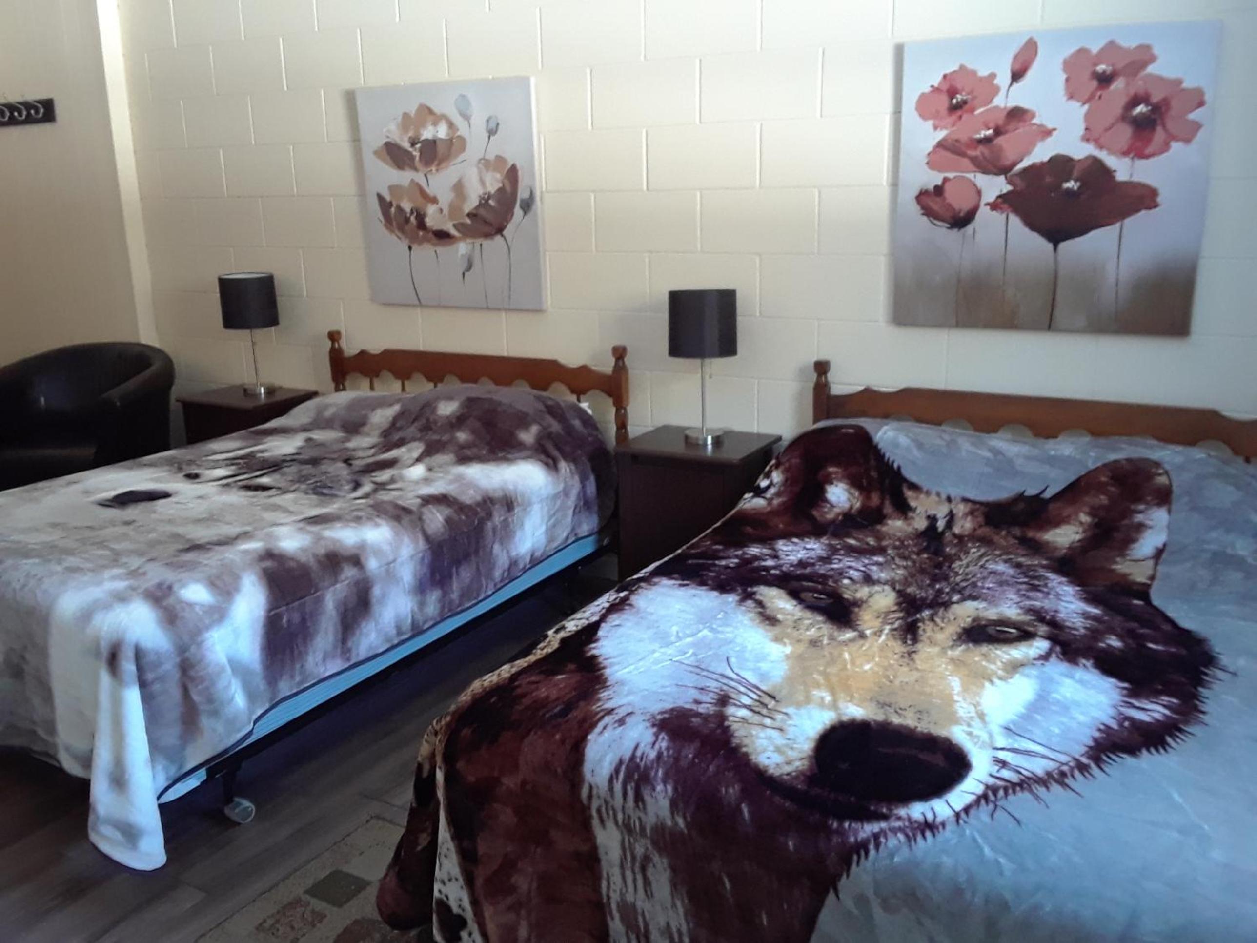 Family Room - Photo 9