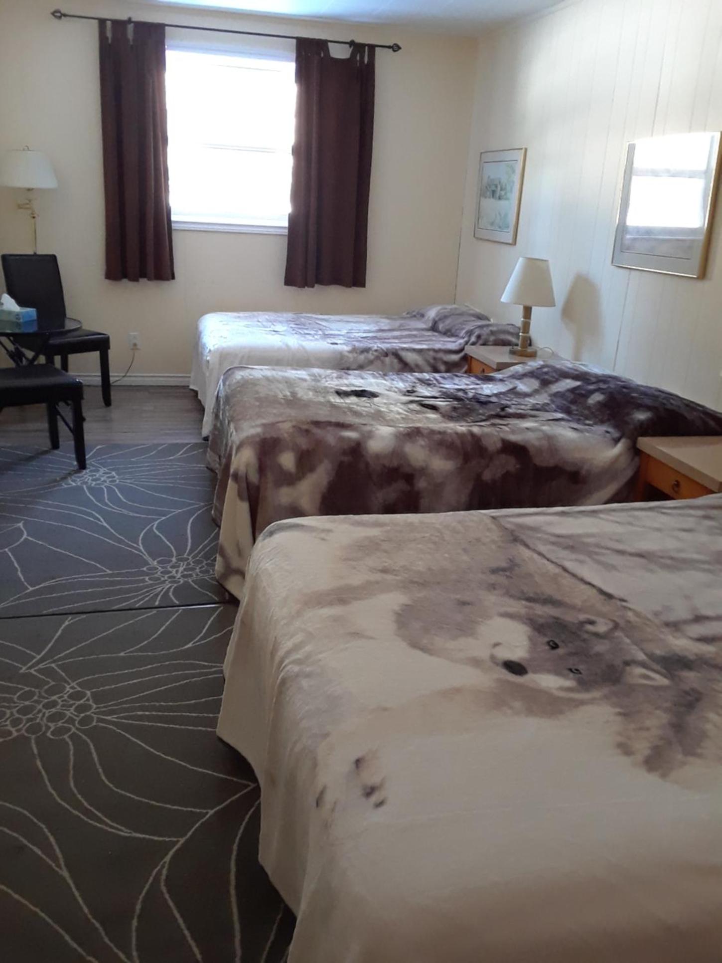 Family Room - Photo 4