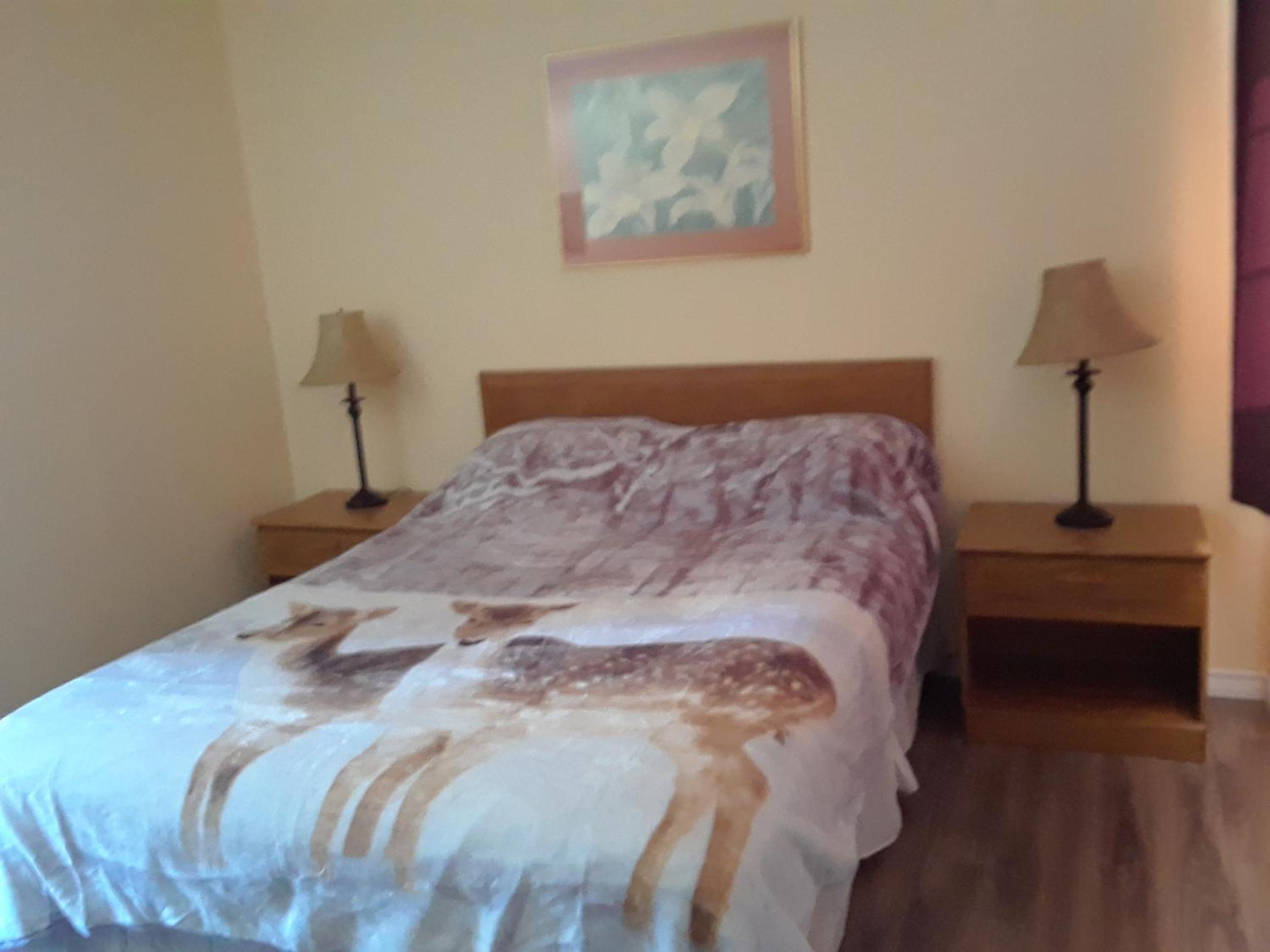 Queen Room - Photo 7