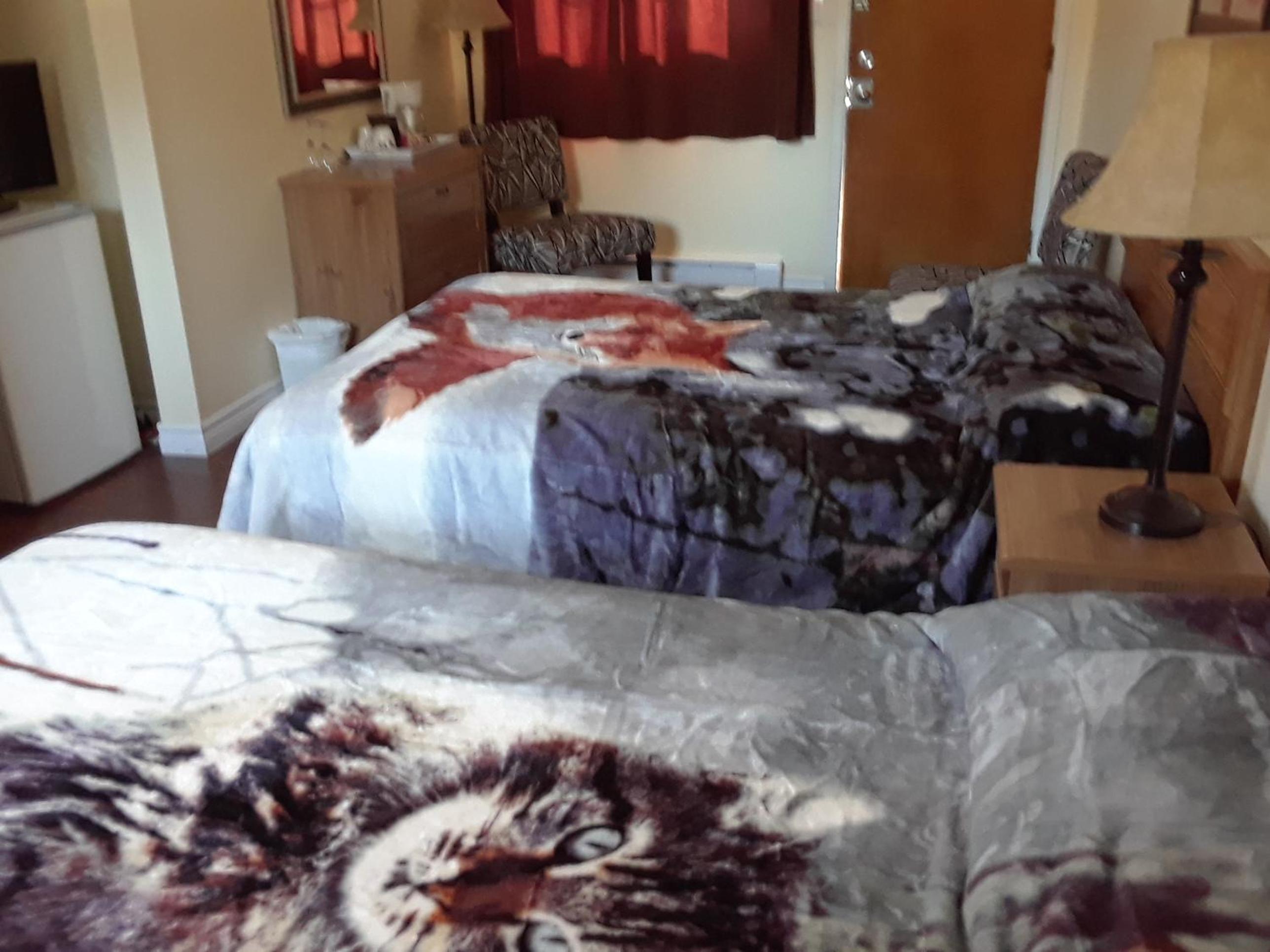 Double Room with Two Double Beds - Photo 2