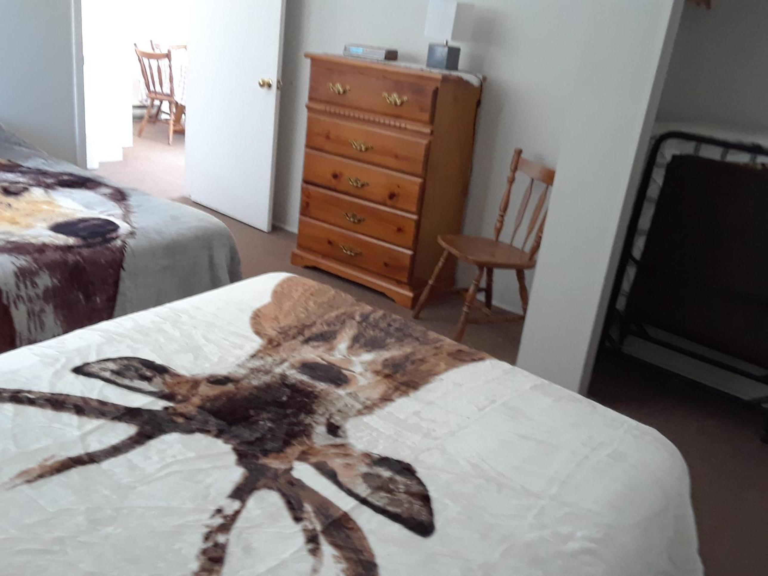 Cottage - Photo 3