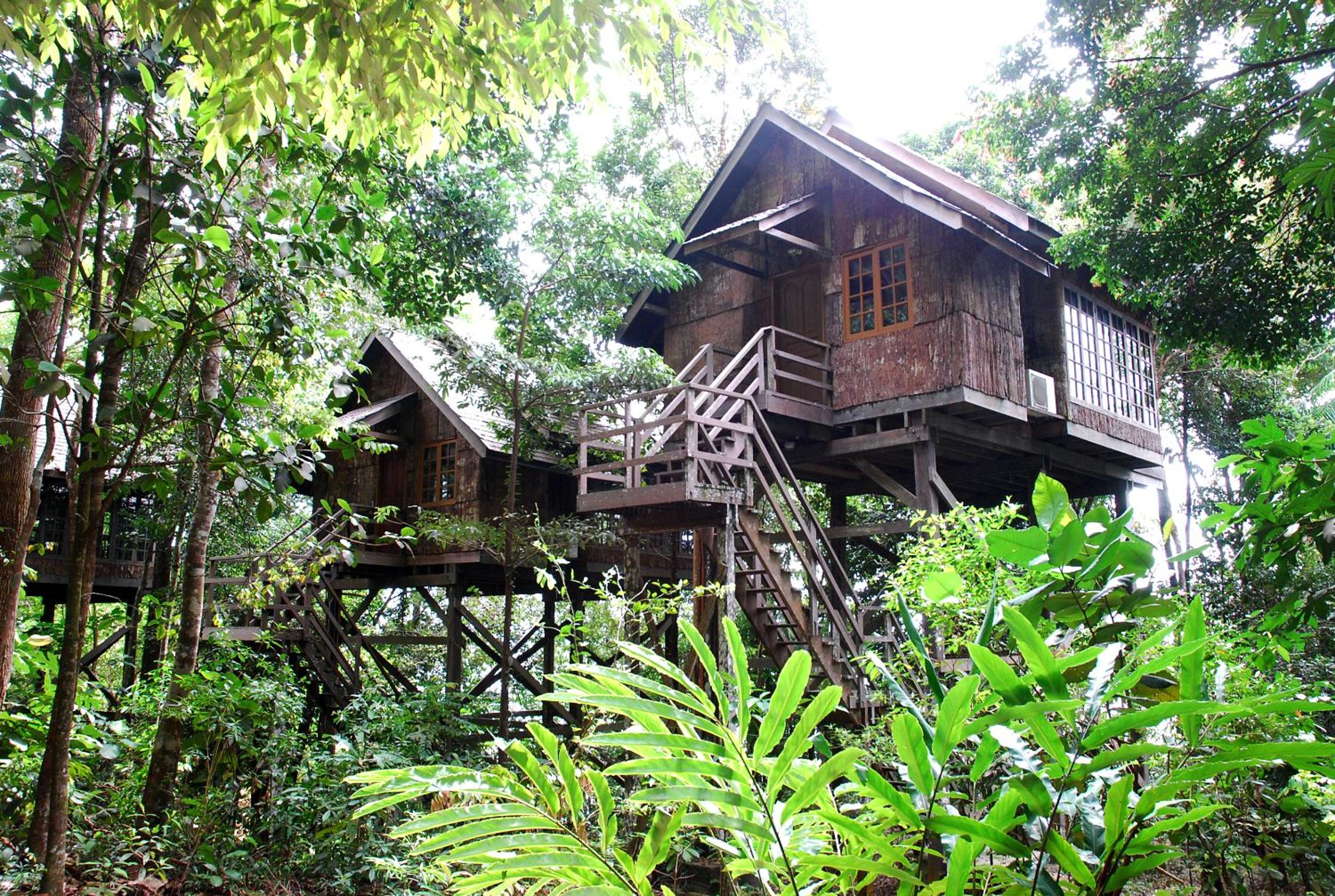 Classic Treehouse Queen