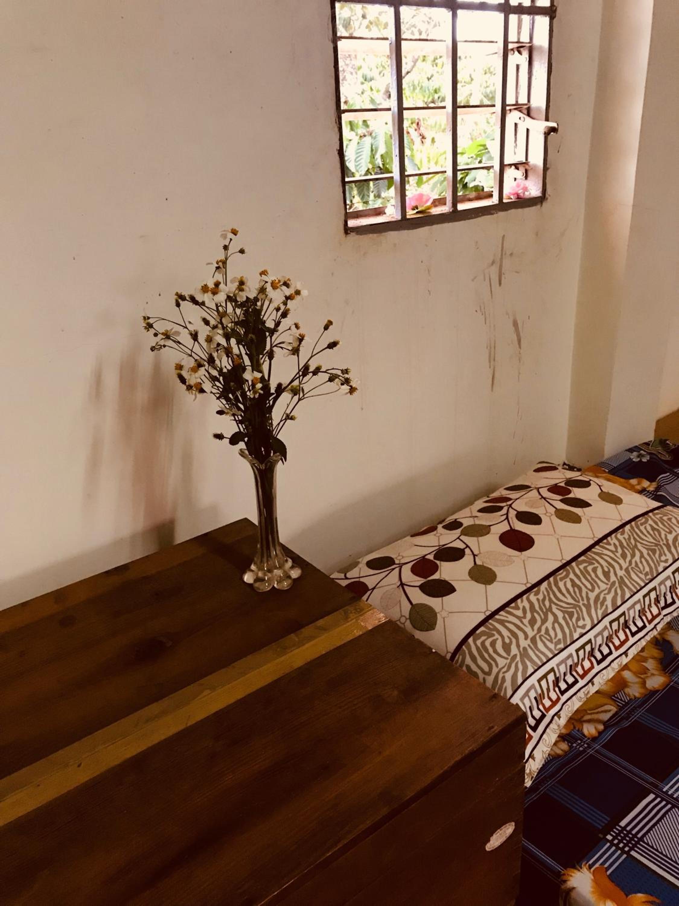 4-Bed Mixed Dormitory Room photo 2