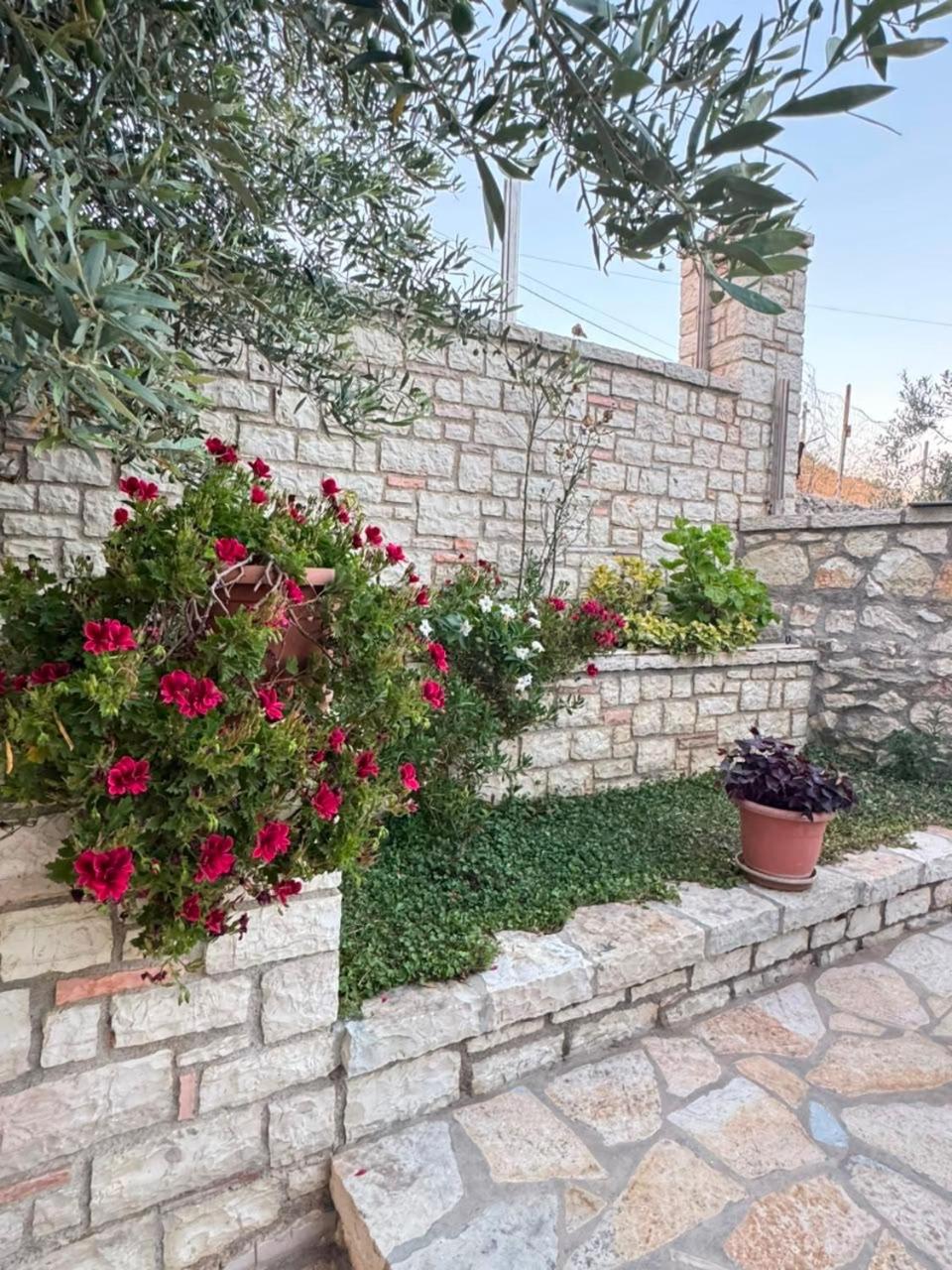 Apartment with Garden View
