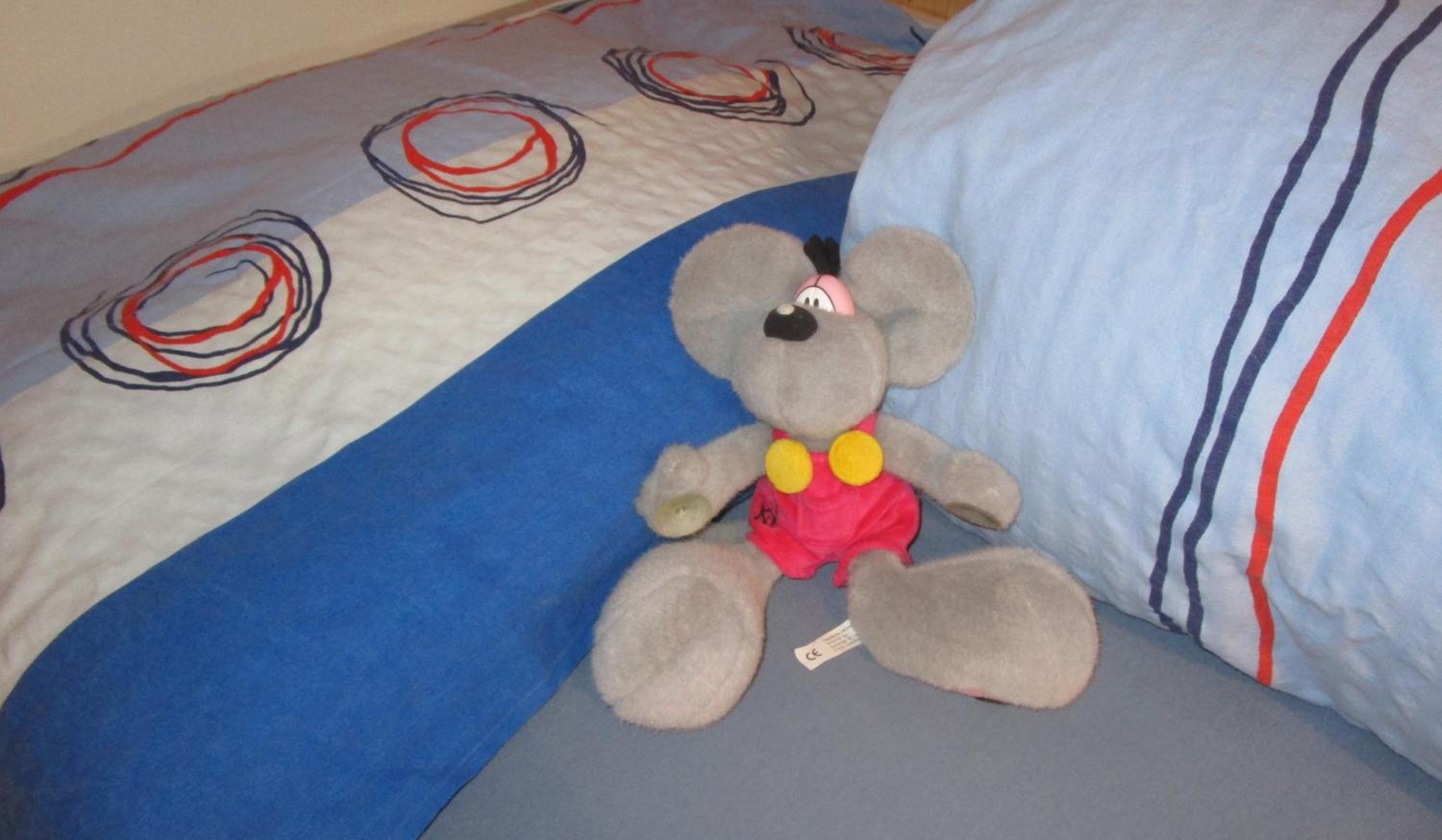 Twin Room photo 2
