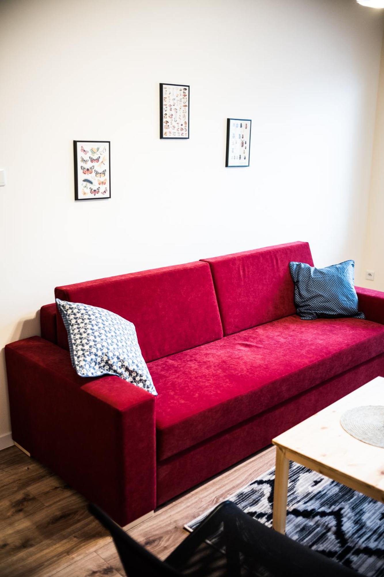 Superior Apartment photo 3