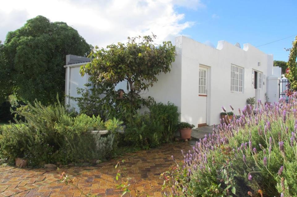 Studio with Sea View - Photo 6