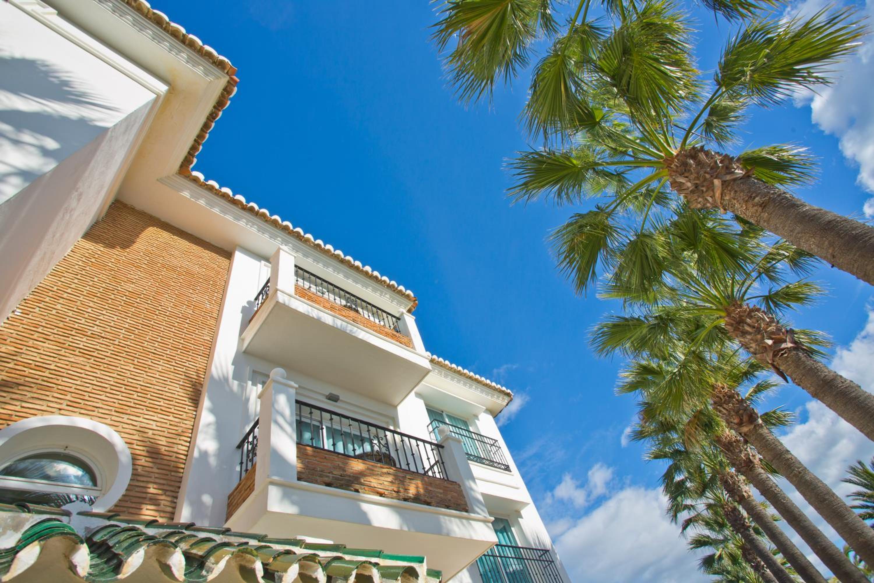 Estudio Superior (2 adultos) Estudio Superior (2 adultos)