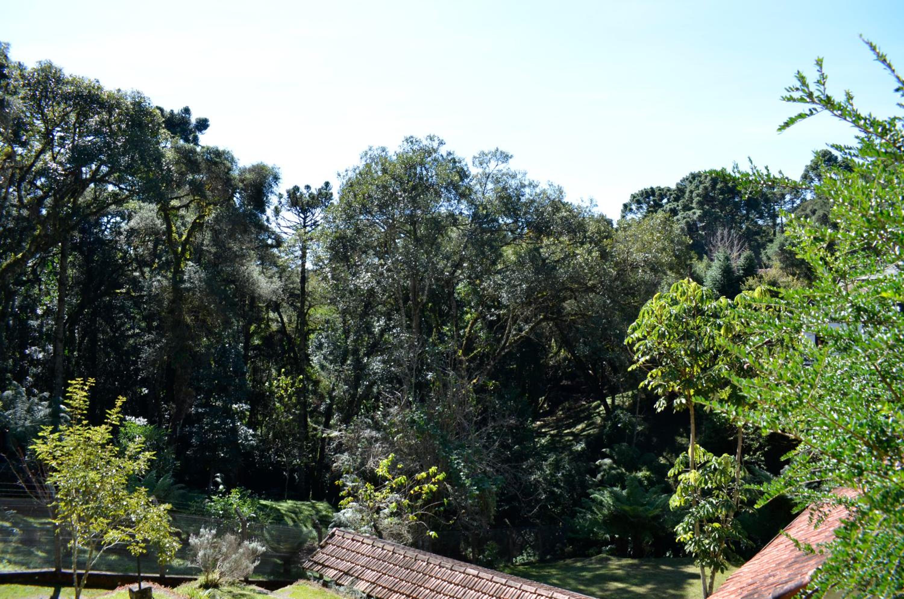 Chalet photo 2