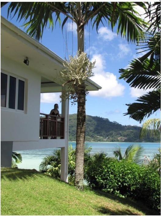 Standard Two-Bedroom Villa - Photo 5