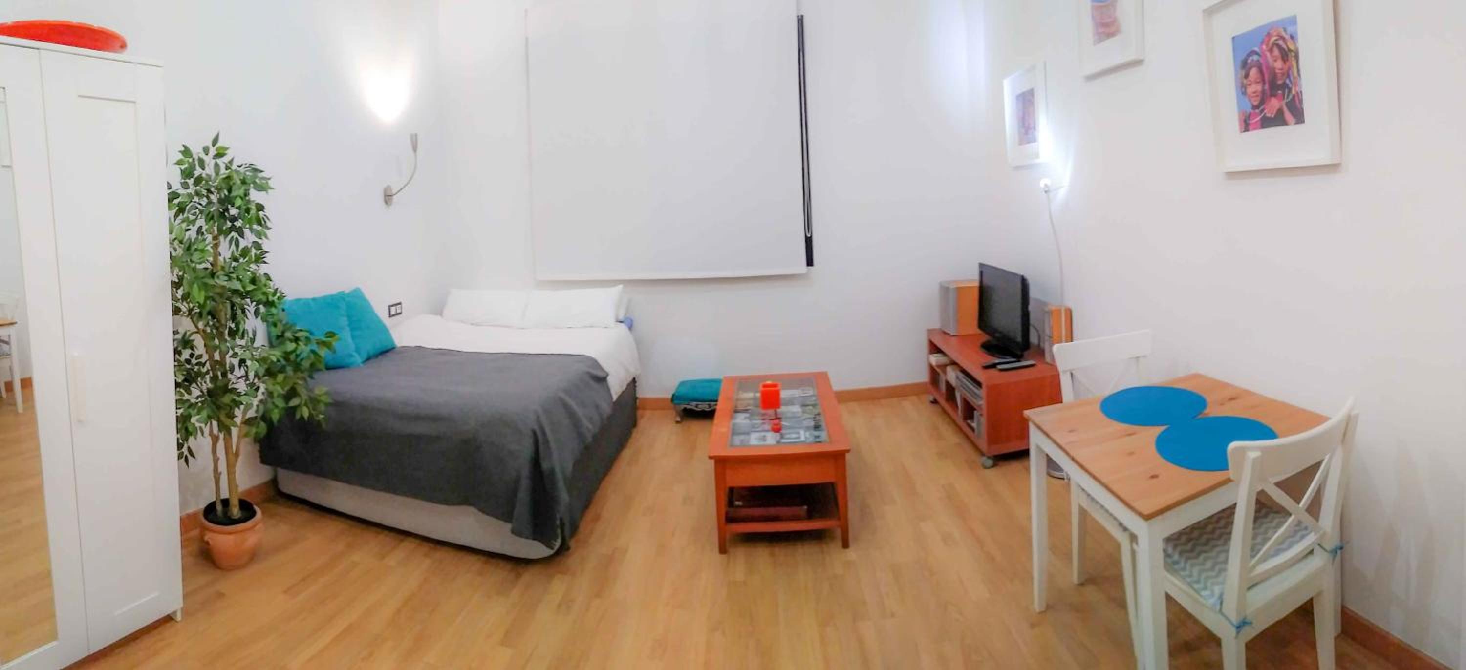 Studio Apartment