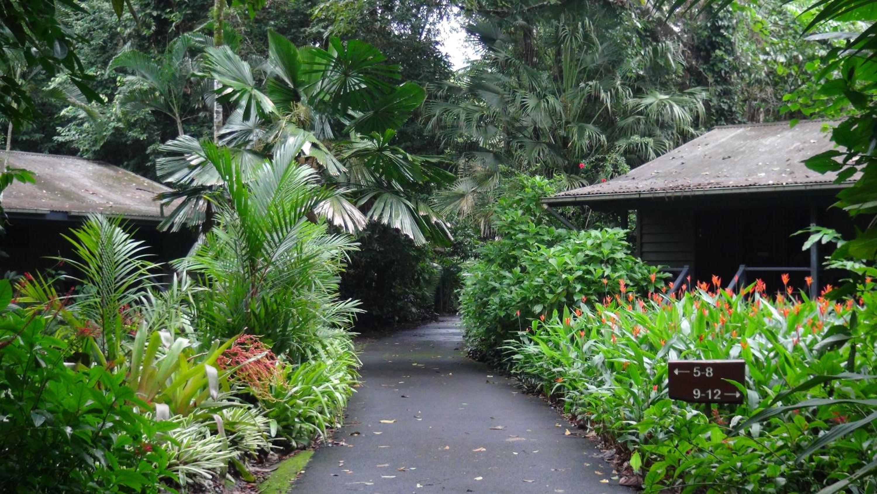 Queen Cabin with Rainforest View - Photo 7