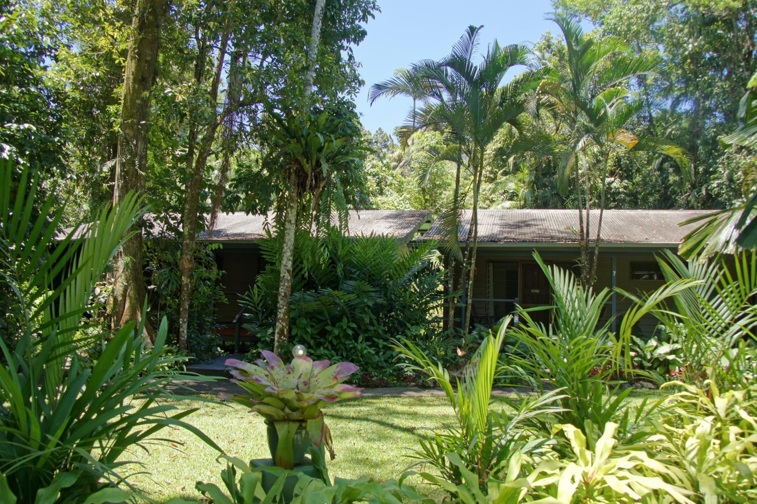 Queen Cabin with Rainforest View - Photo 8