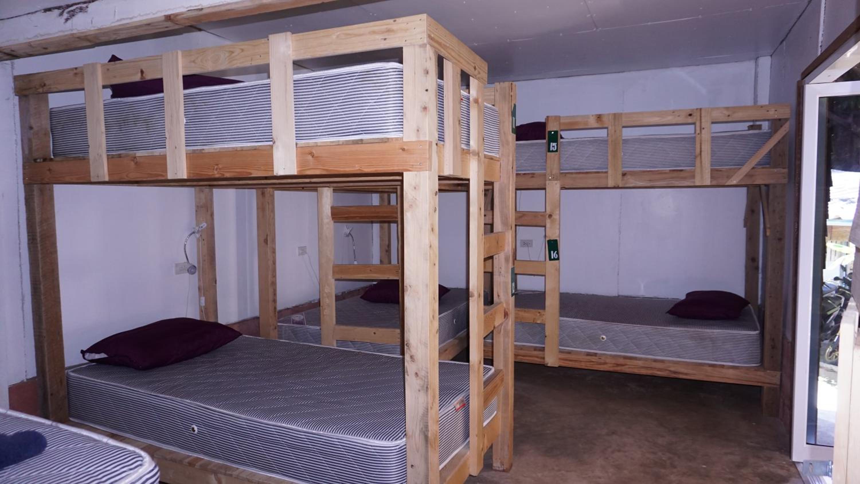 Bunk Bed in Mixed Dormitory Room