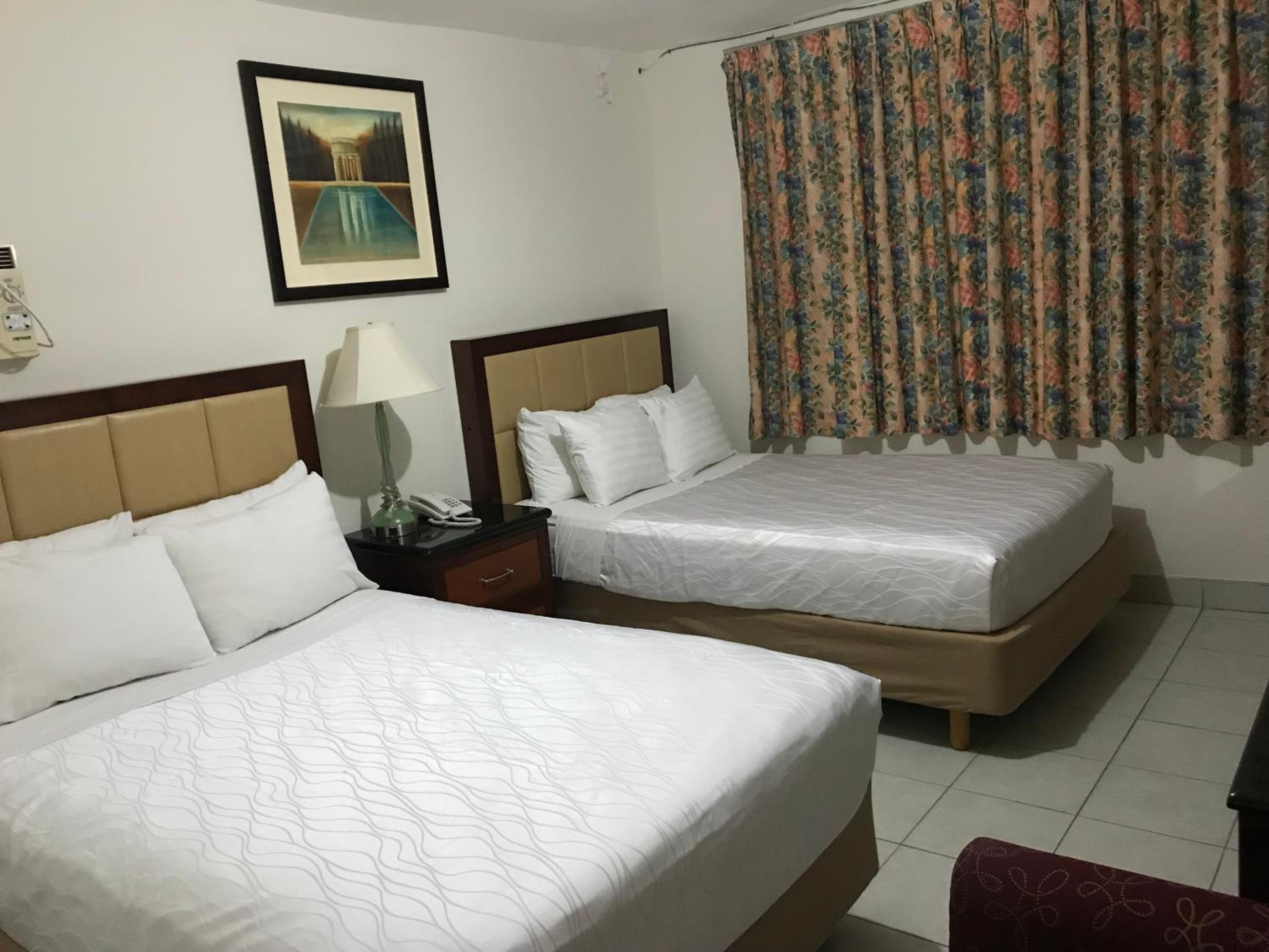 Twin Room photo 2