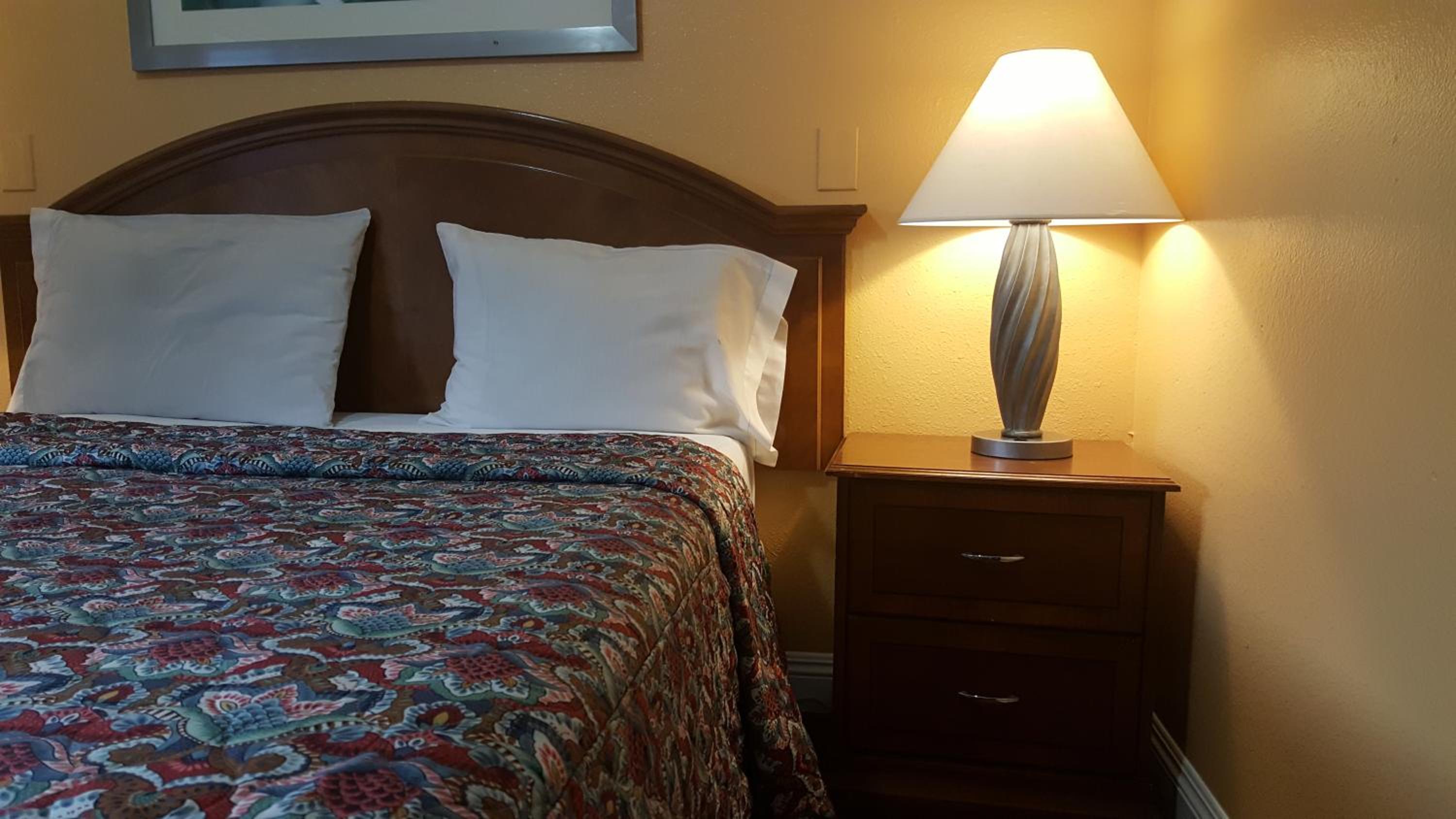 Single Room - Disability Access photo 1