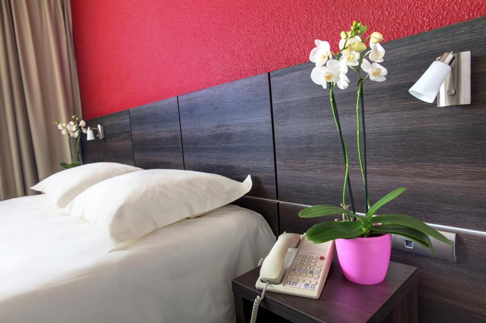Superior Double Room photo 3