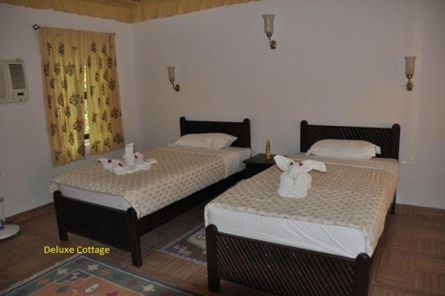 Deluxe Double Room with Extra Bed photo 3