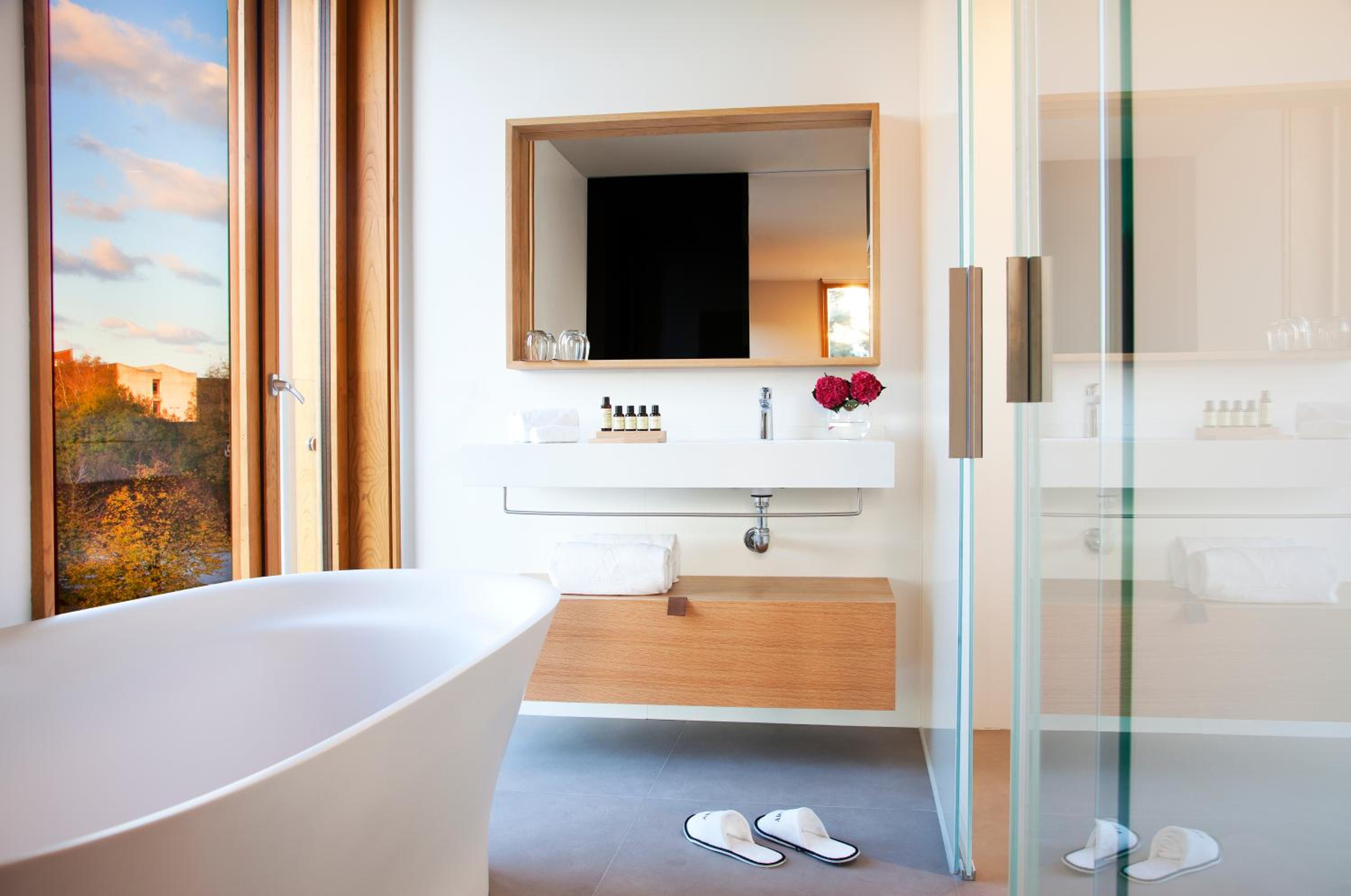 Premium Suite