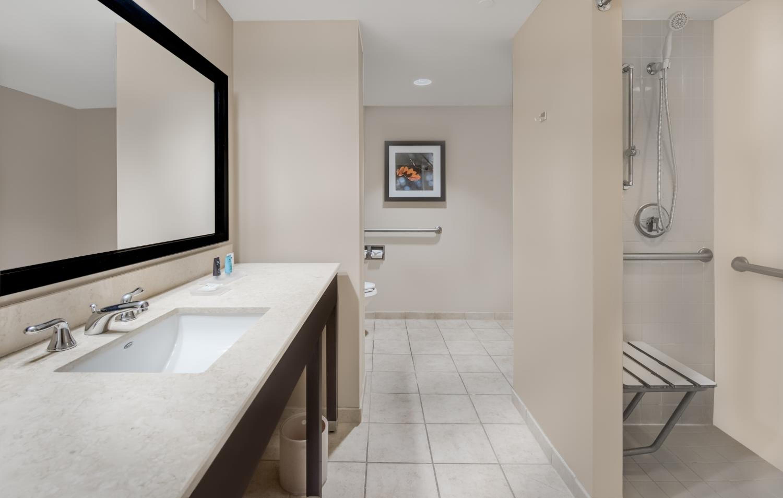 Standard King Room with Mobility Accessible Roll-In Shower - Photo 8