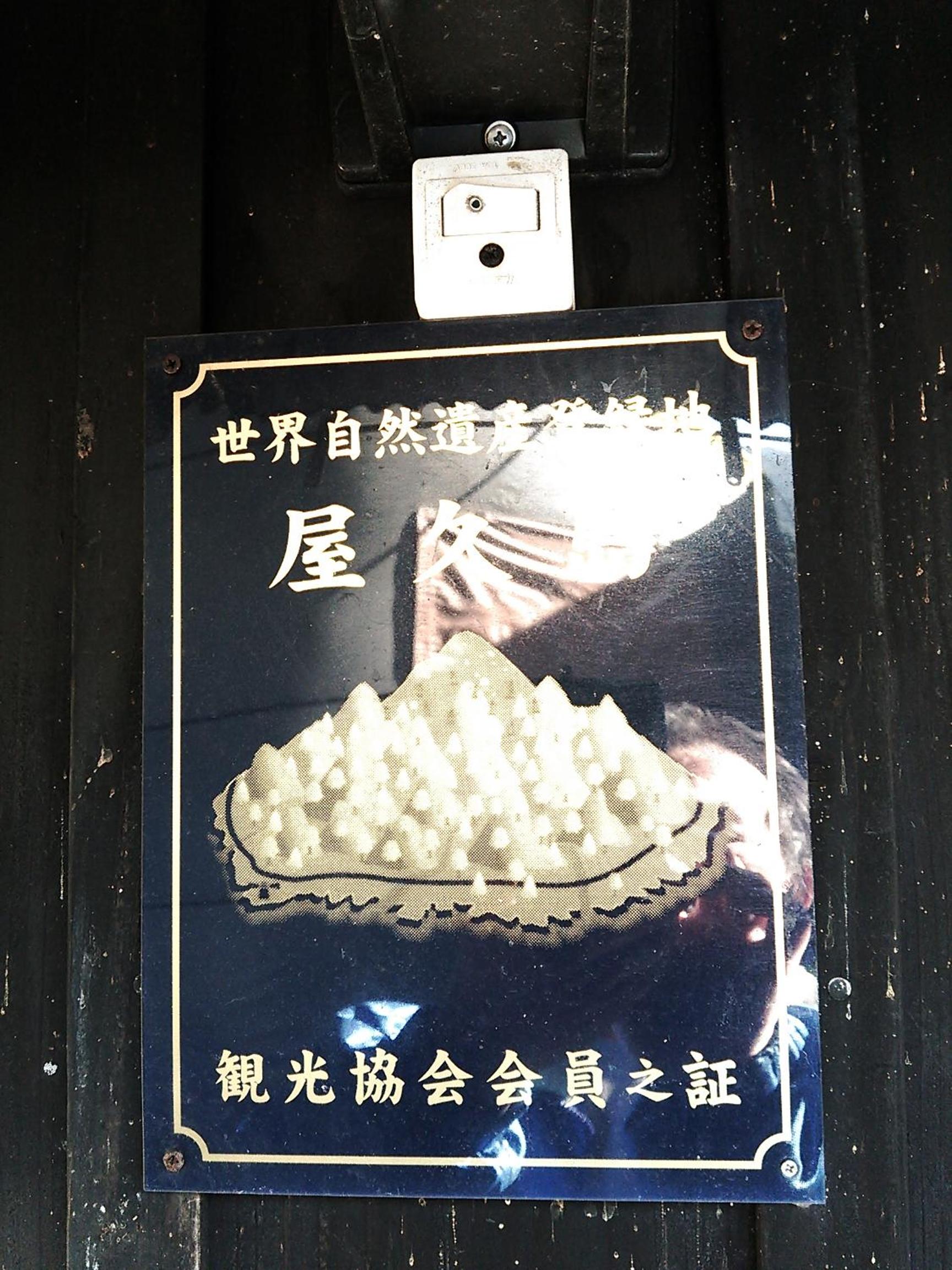Mongolian-Style Tent photo 2