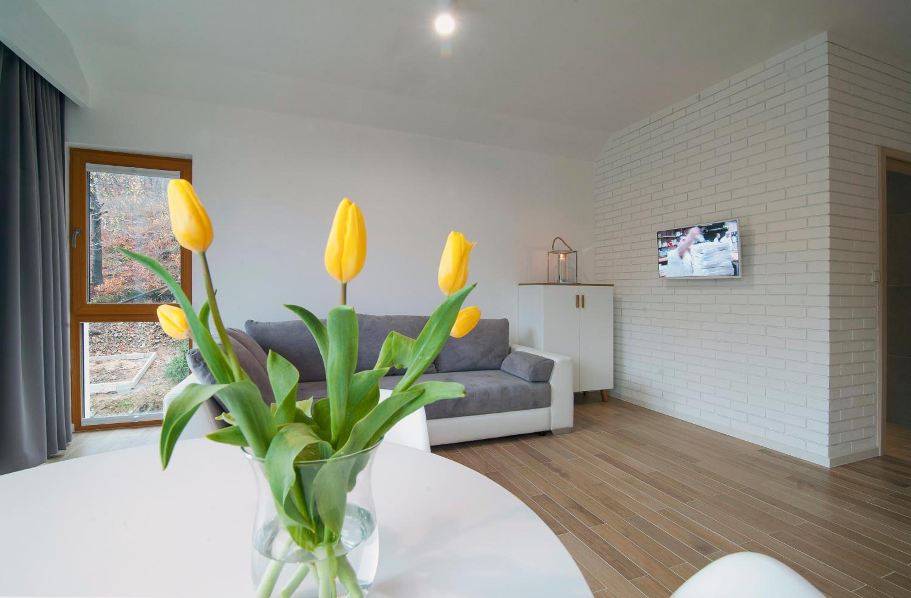 Apartment with Mountain View - Photo 21