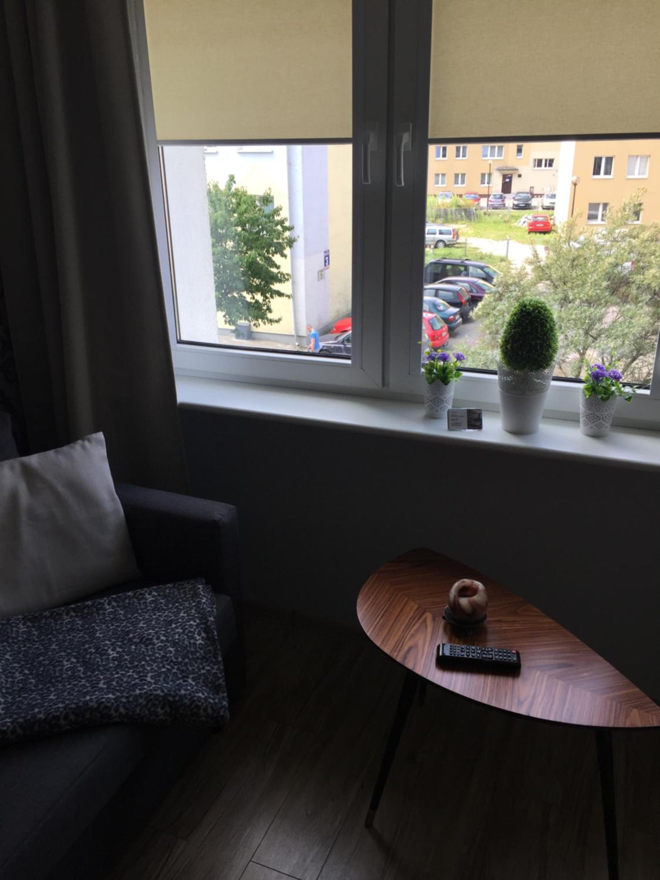 One-Bedroom Apartment photo 3