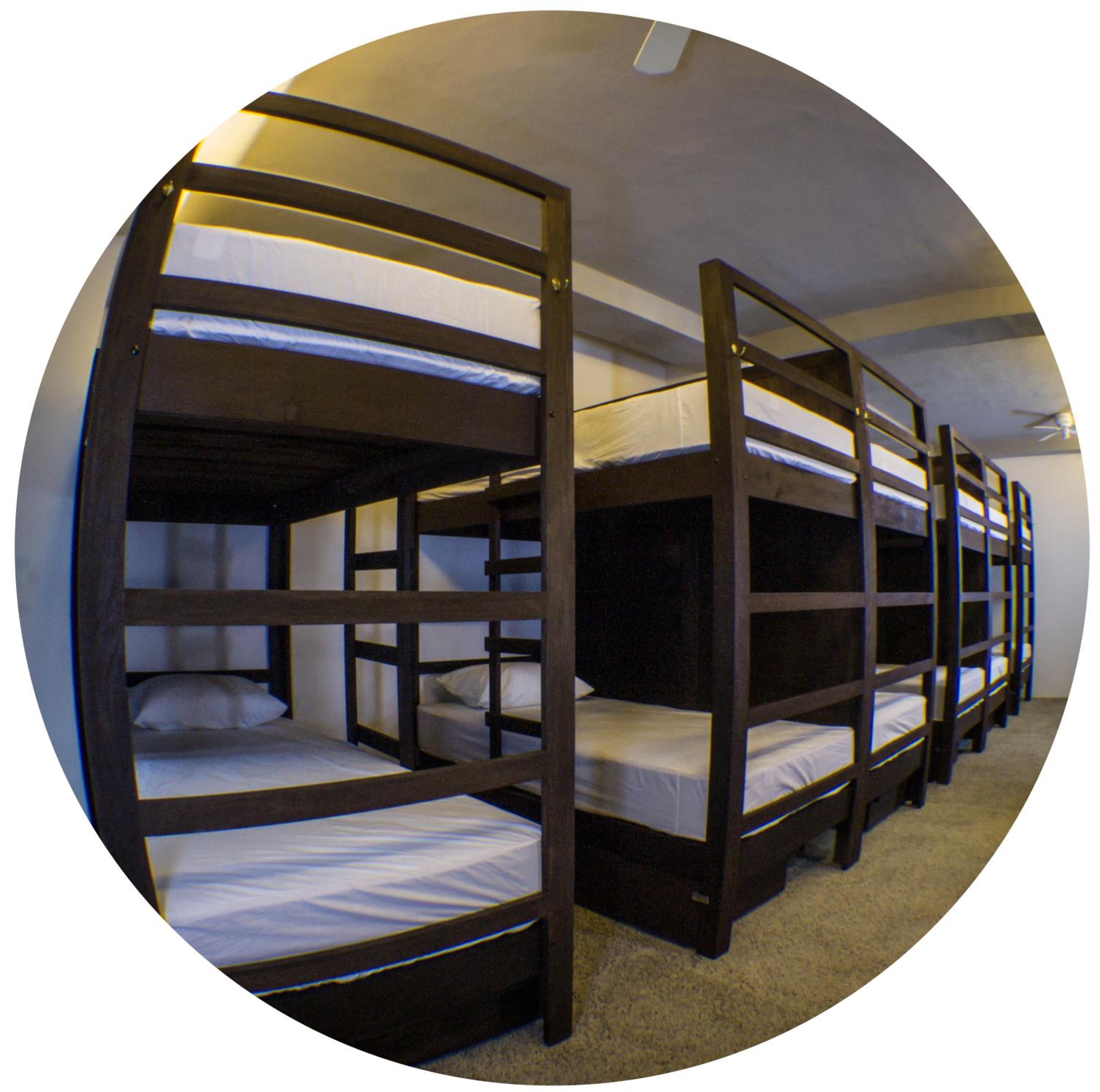 Single Bed in Mixed Dormitory Room - Cantinflas photo 2