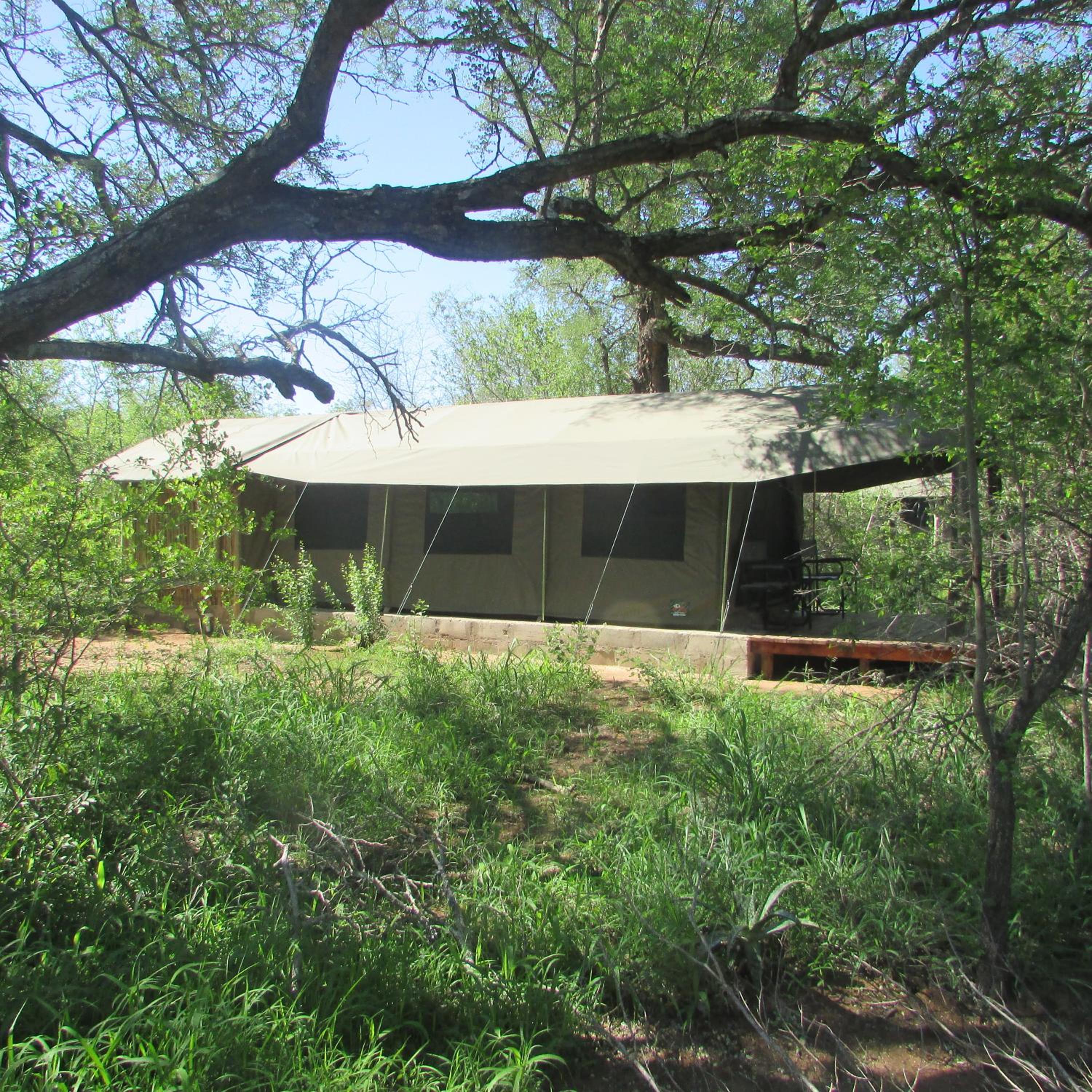 Luxury Tent - Photo 15