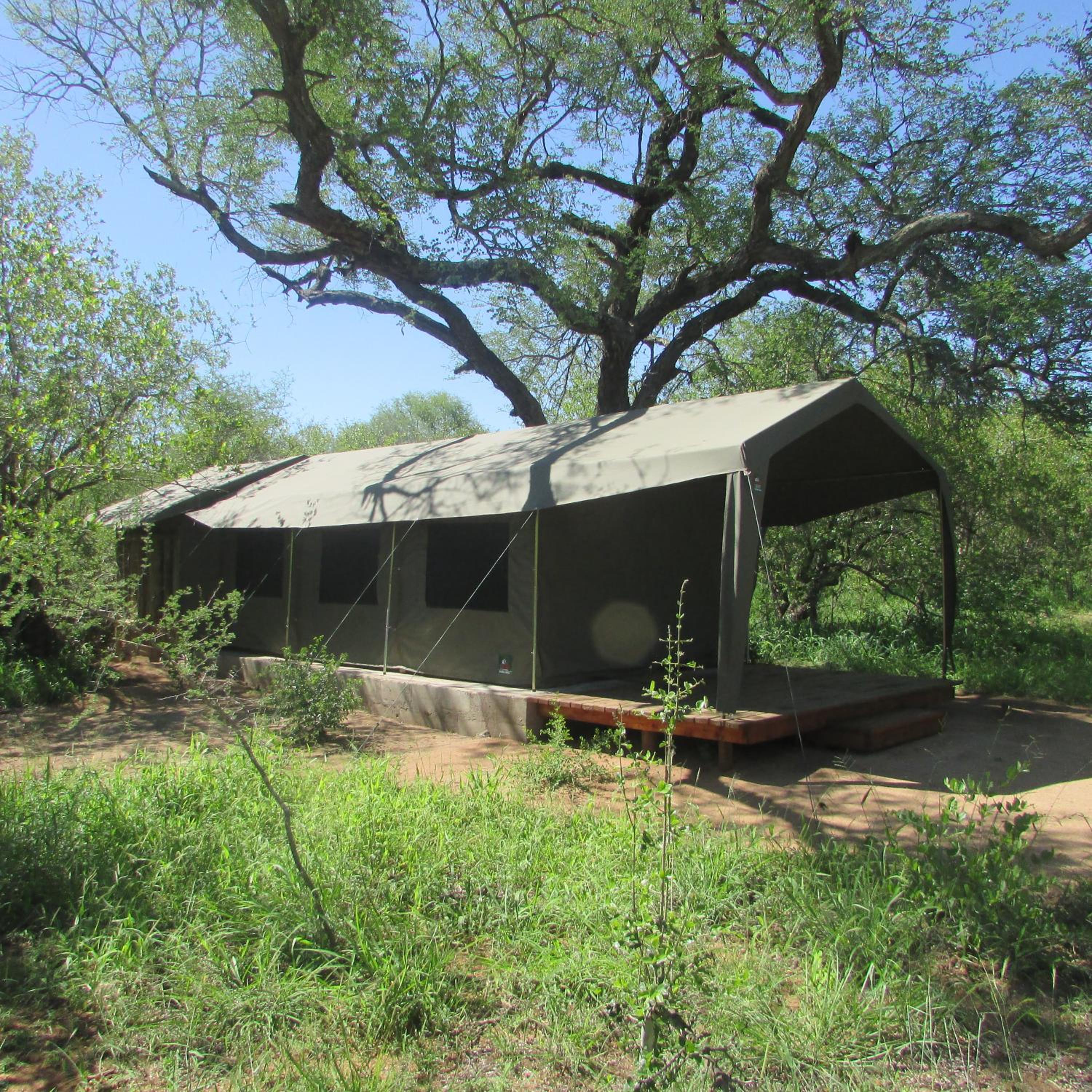Luxury Tent - Photo 2