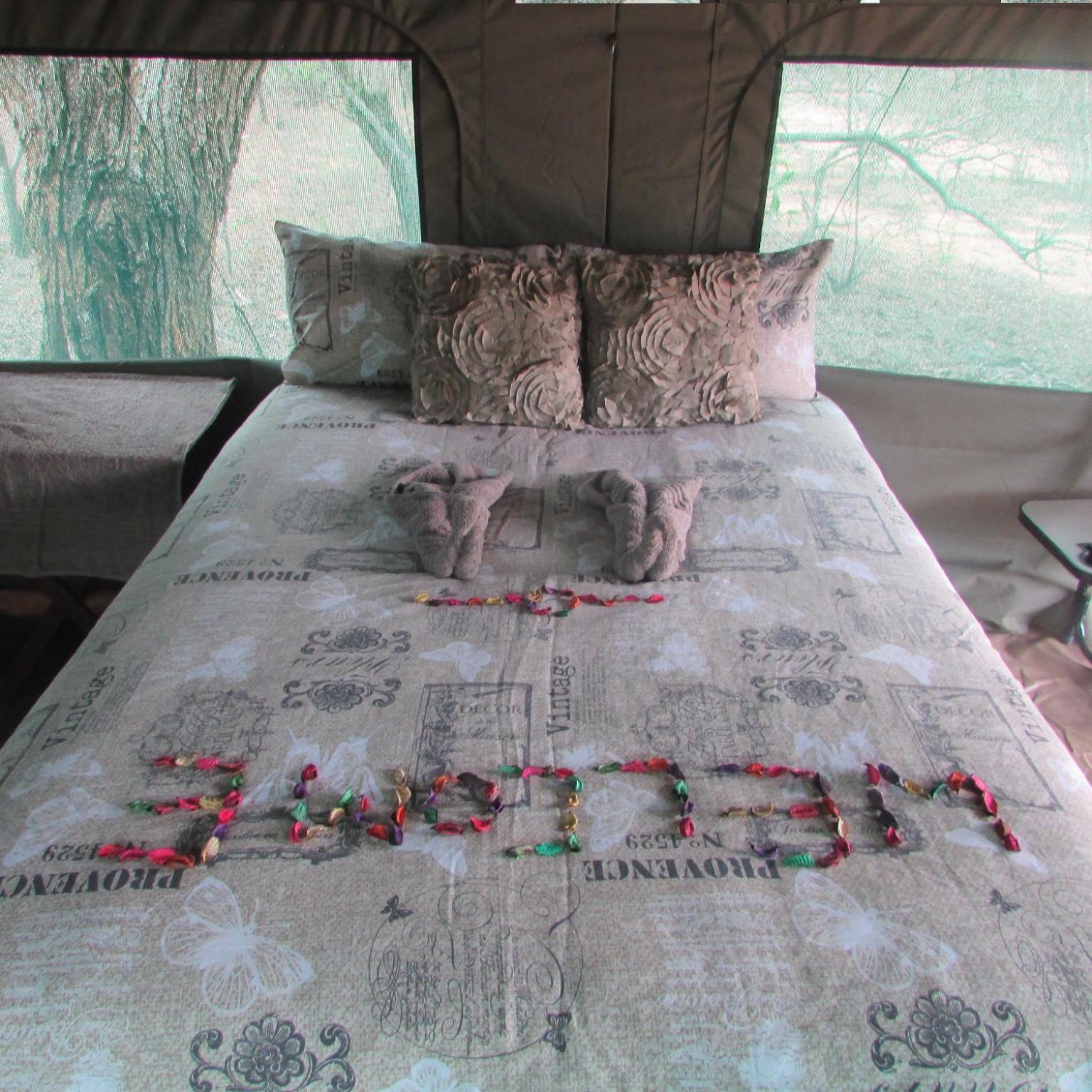 Luxury Tent - Photo 1