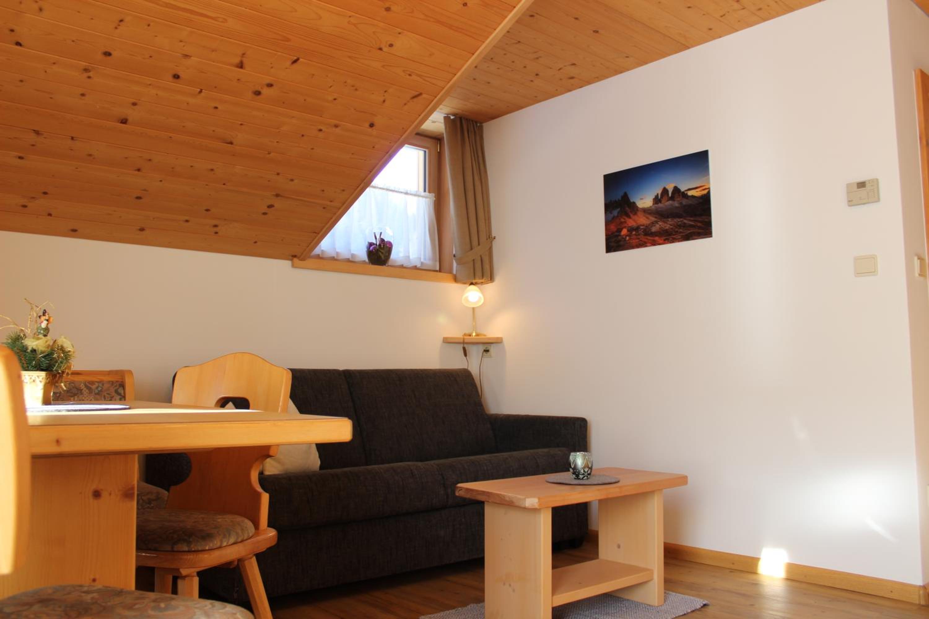 One-Bedroom Apartment with Sofa Bed
