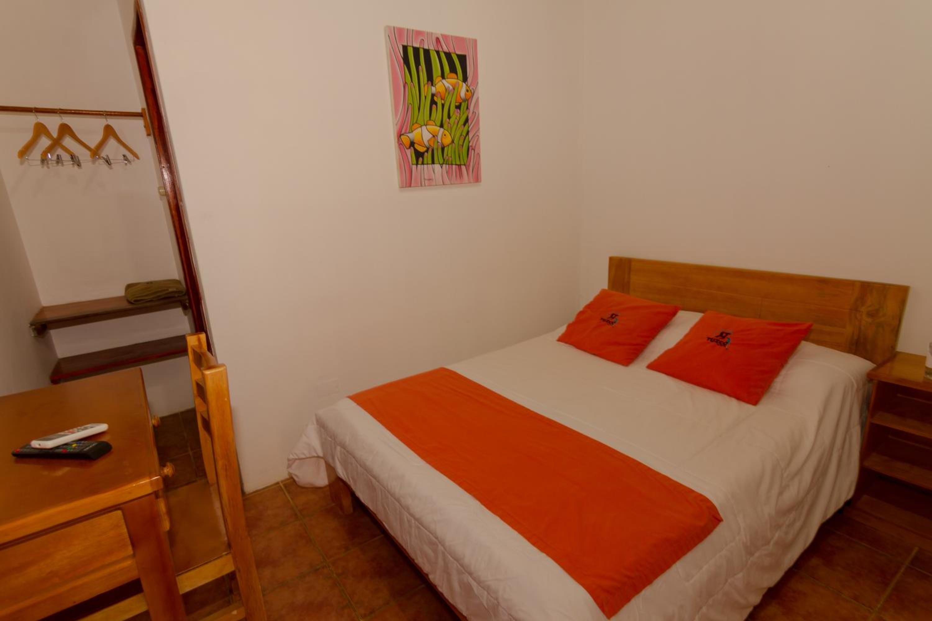 Single Room photo 3