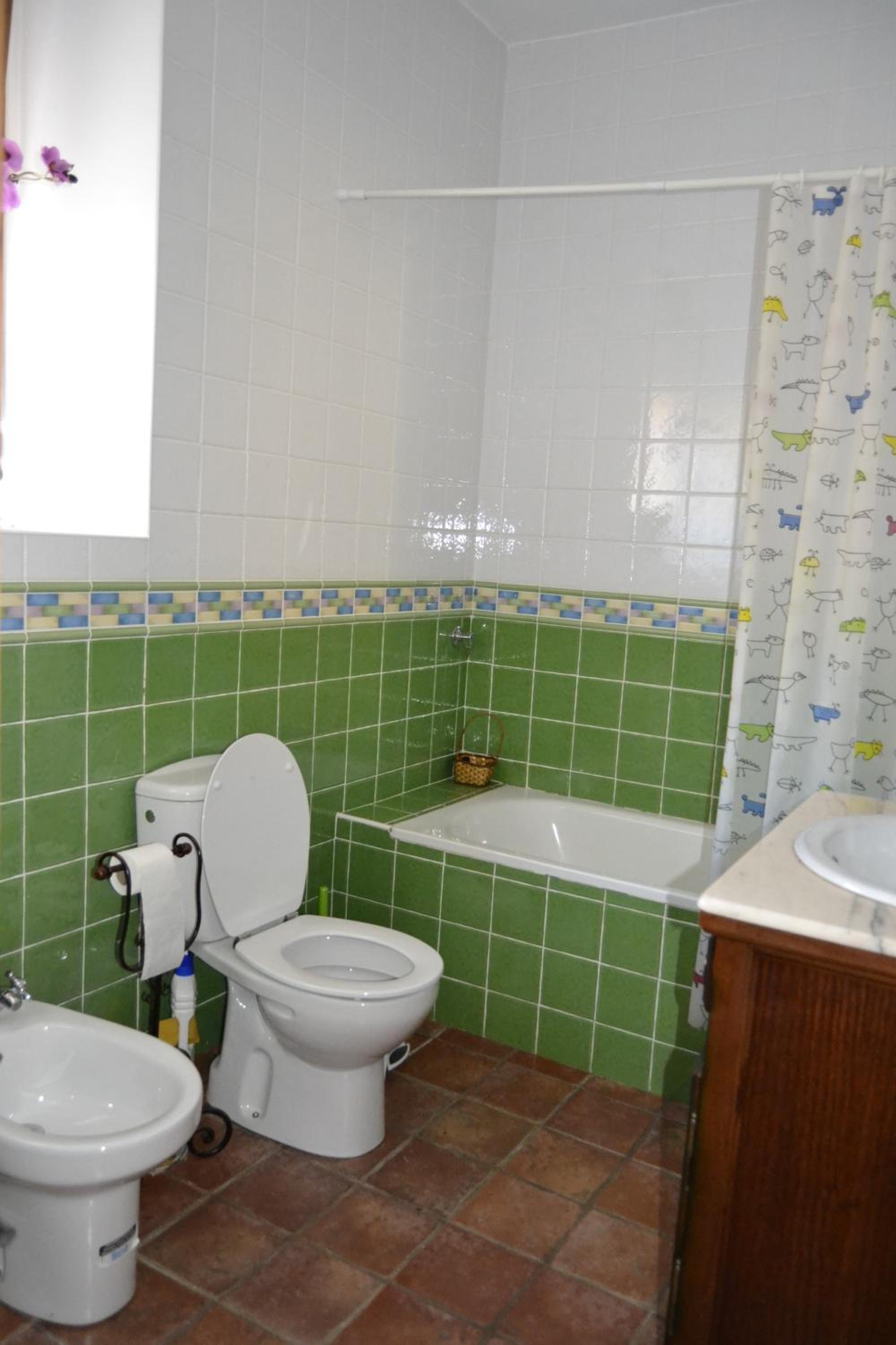 Three-Bedroom Chalet photo 3