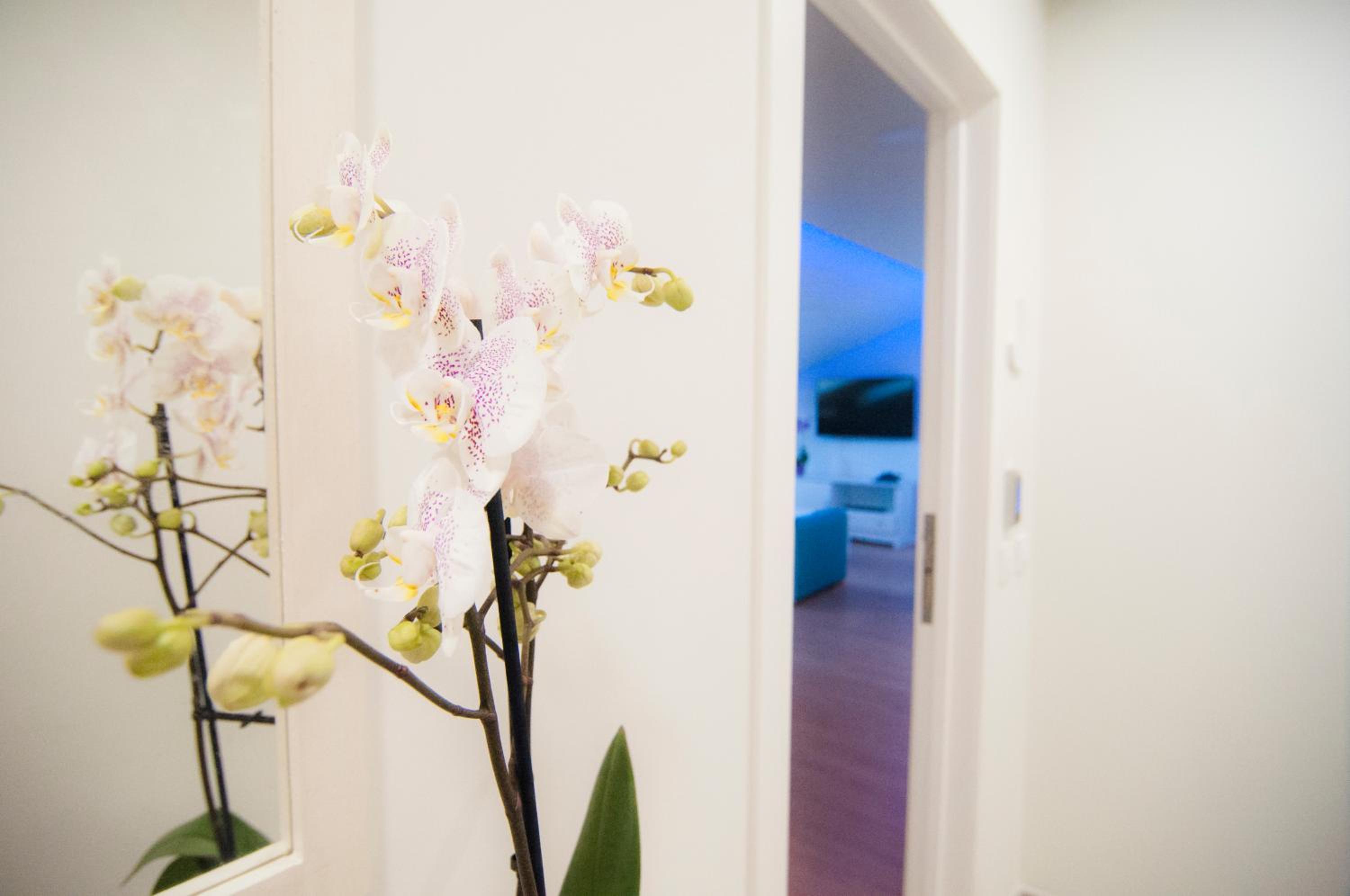 Apartment - Photo 48