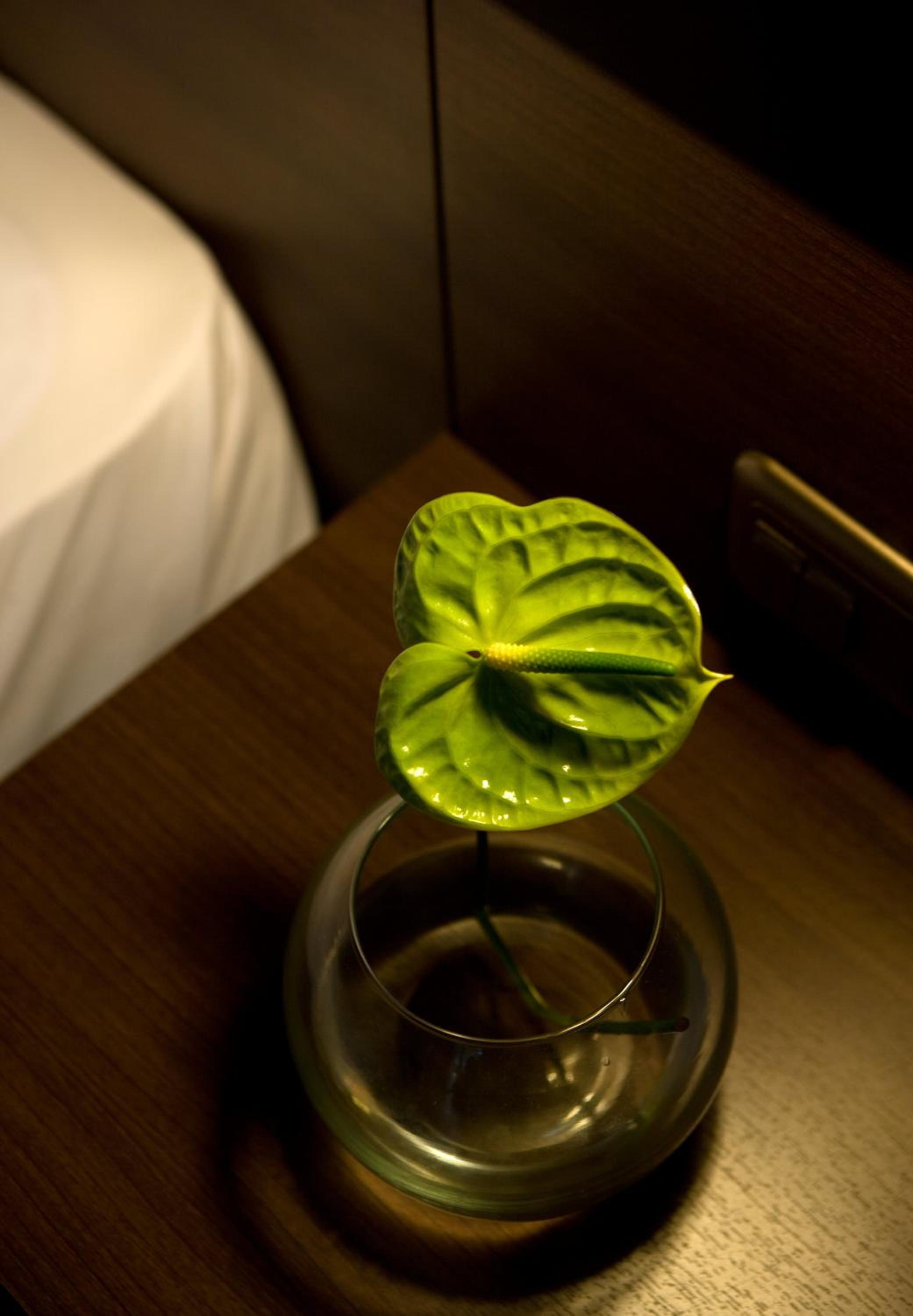 Superior Twin Room - Photo 3