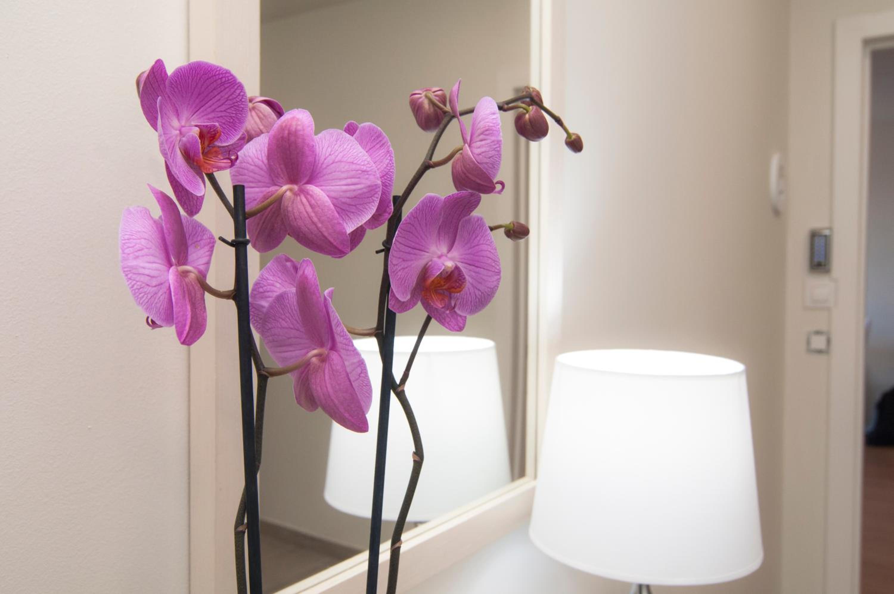 Apartment - Photo 36