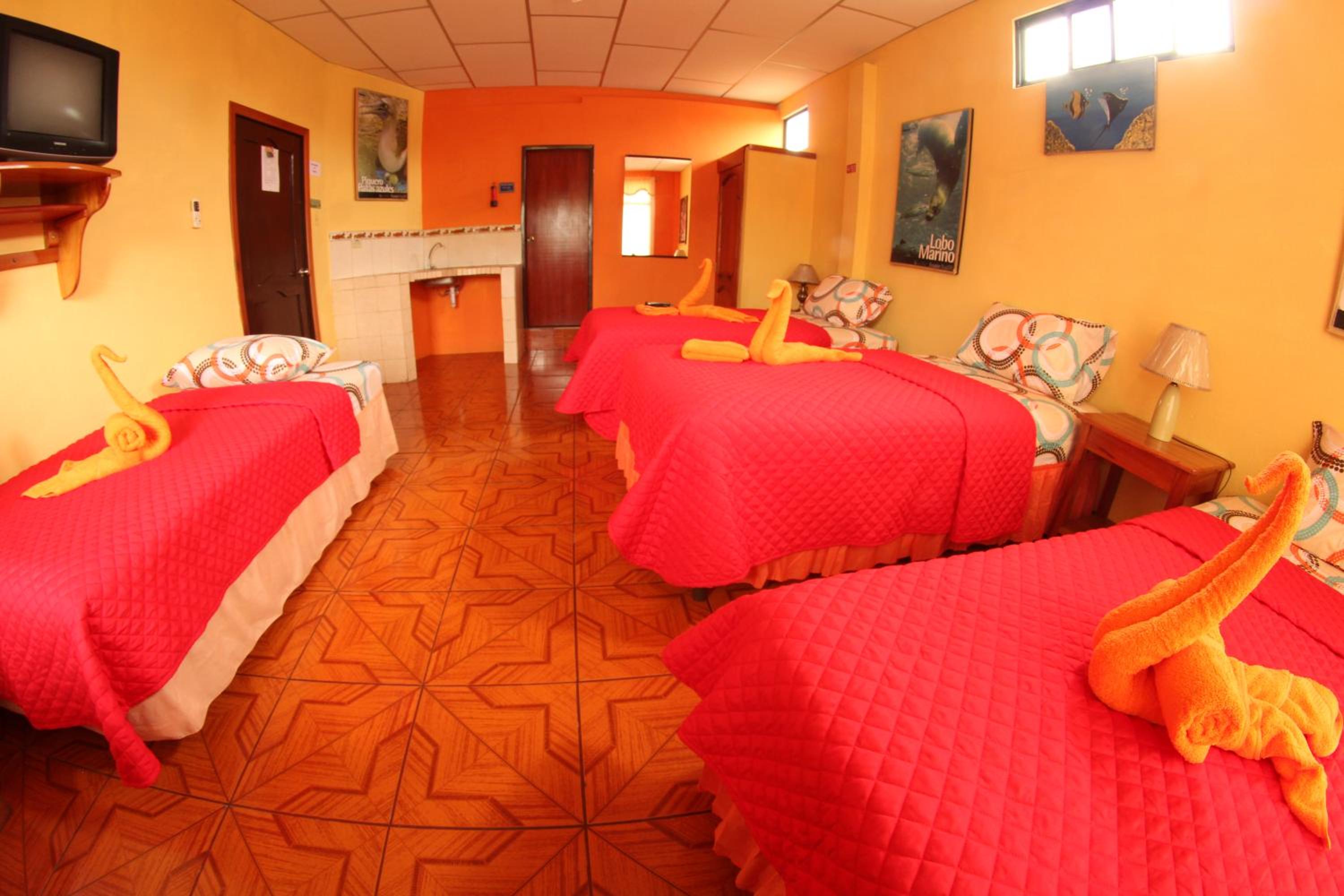 Quadruple Room photo 1