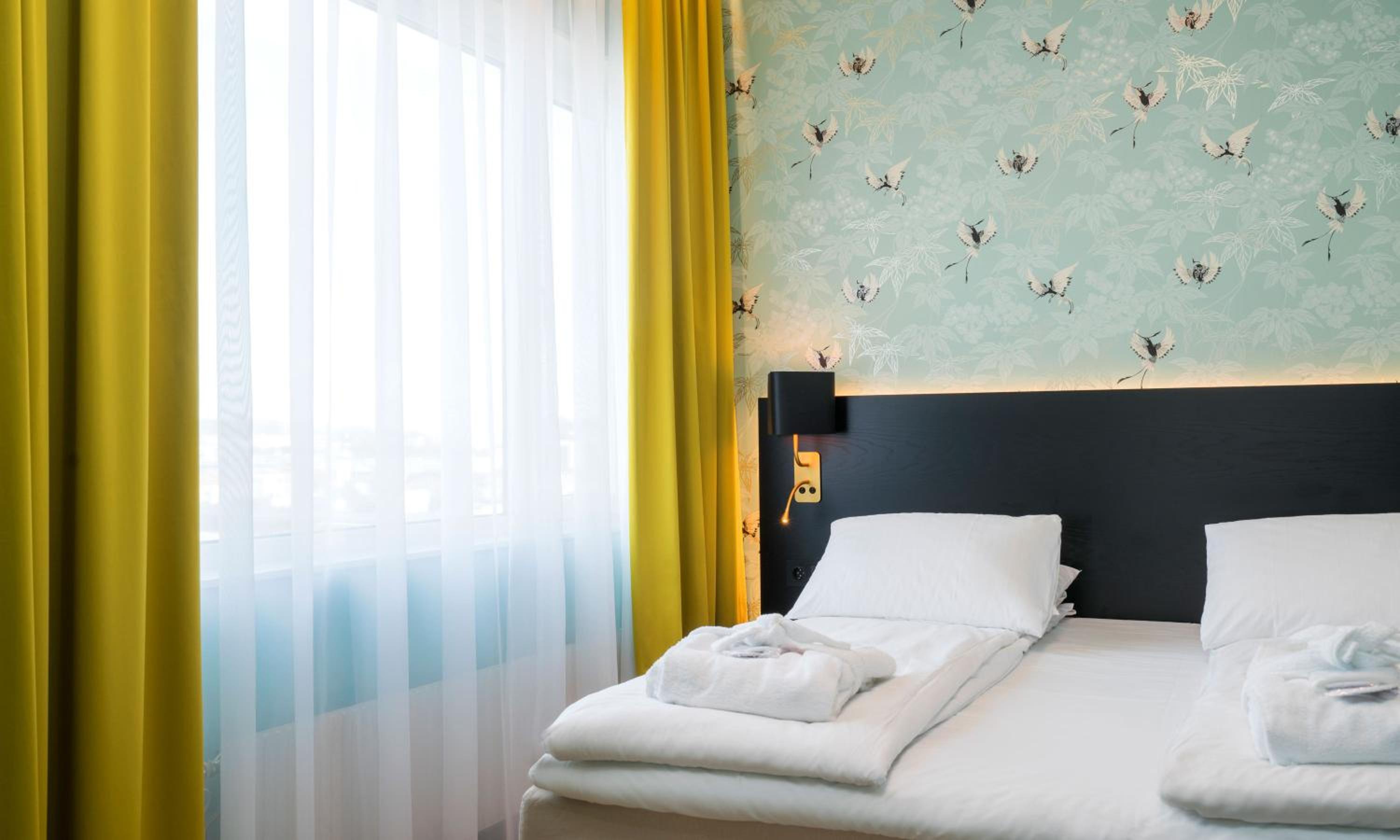Suite - Photo 5