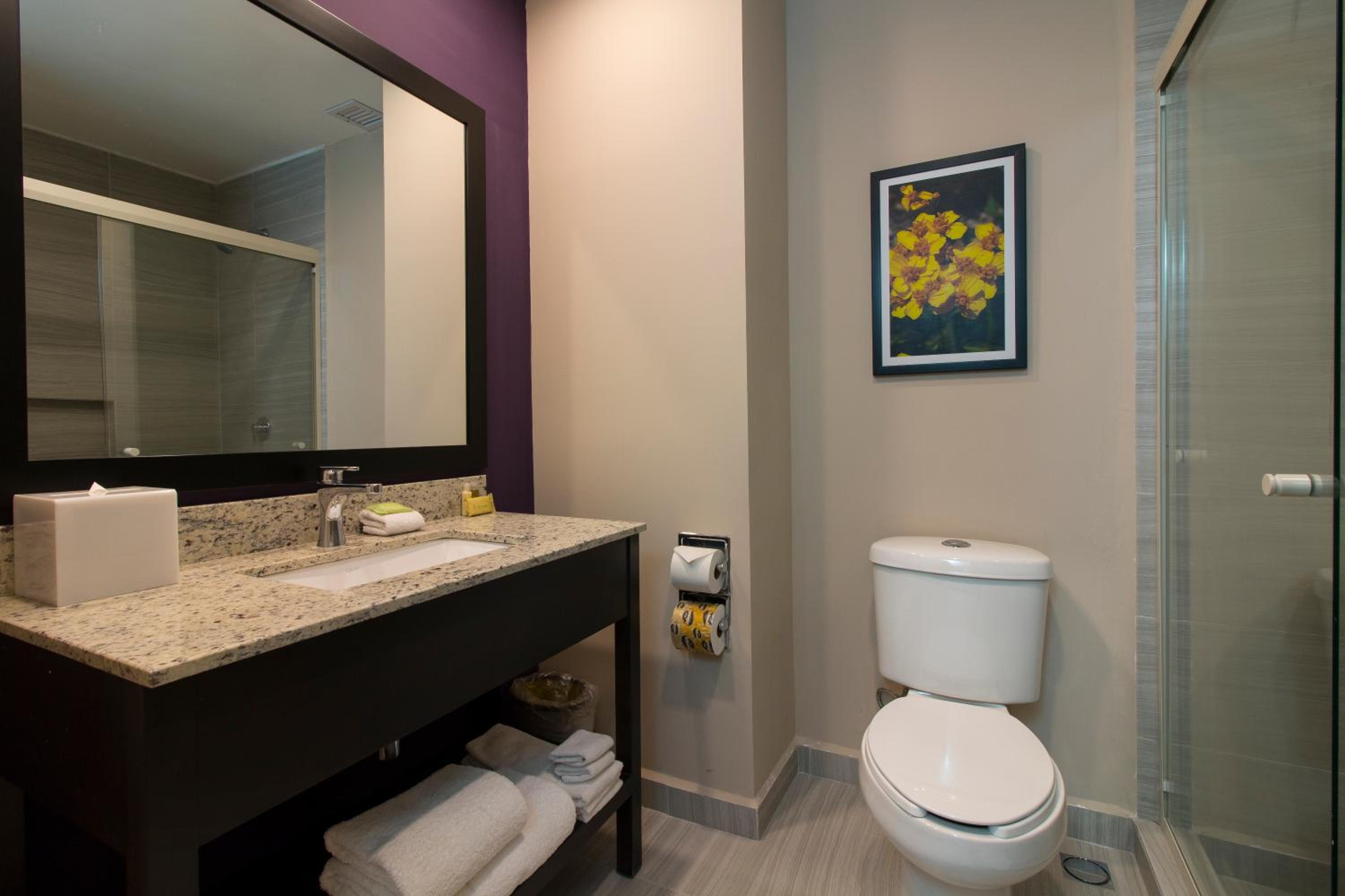 King Room - Non-Smoking photo 3