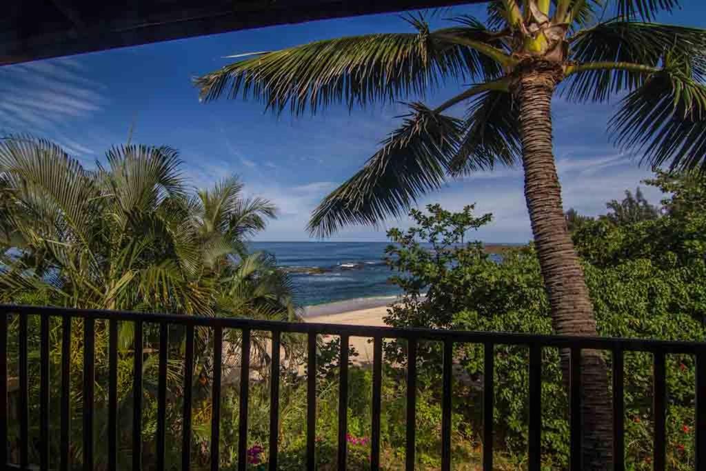Beachfront Standard Studio  photo 3