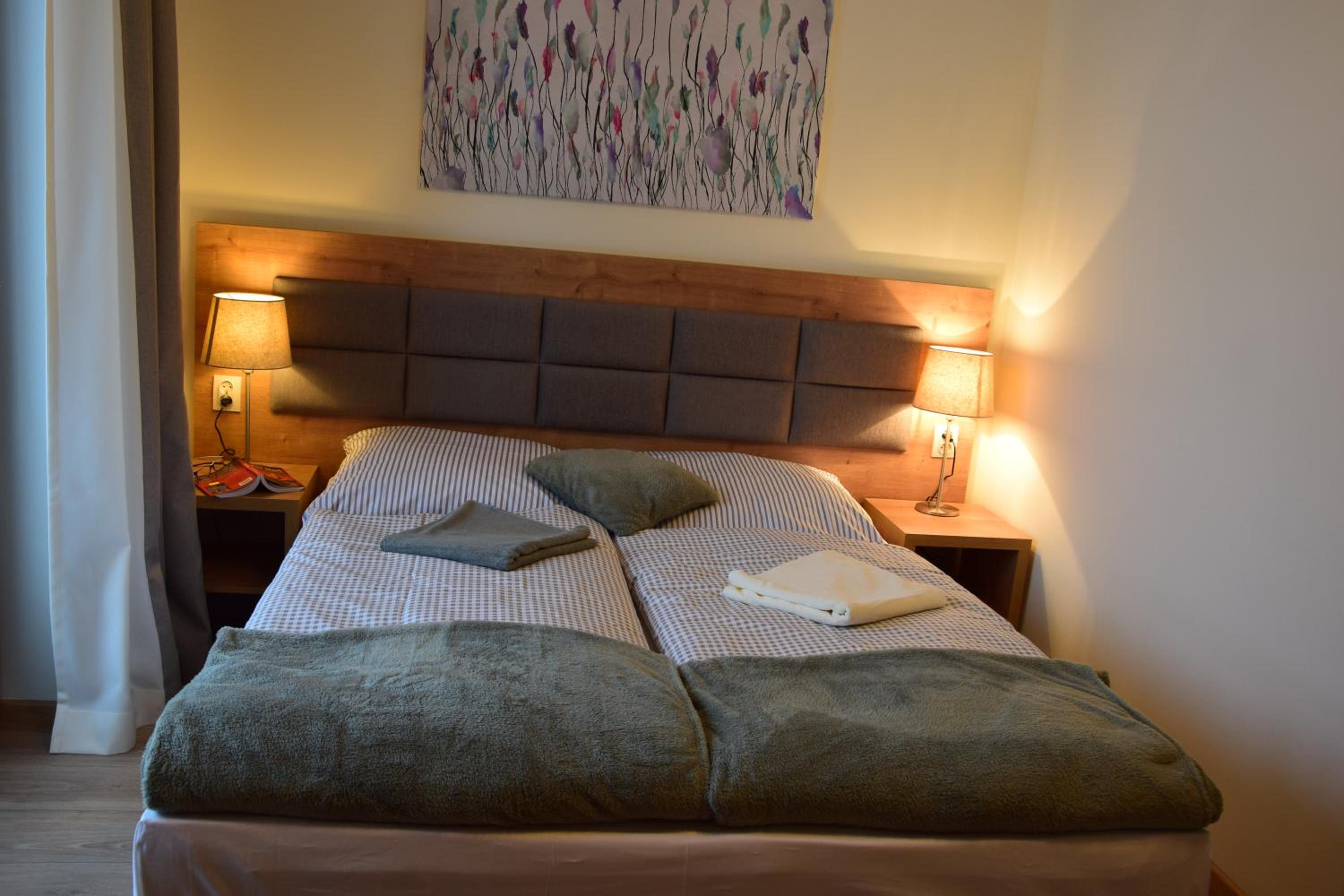 Deluxe Double or Twin Room with Mountain View
