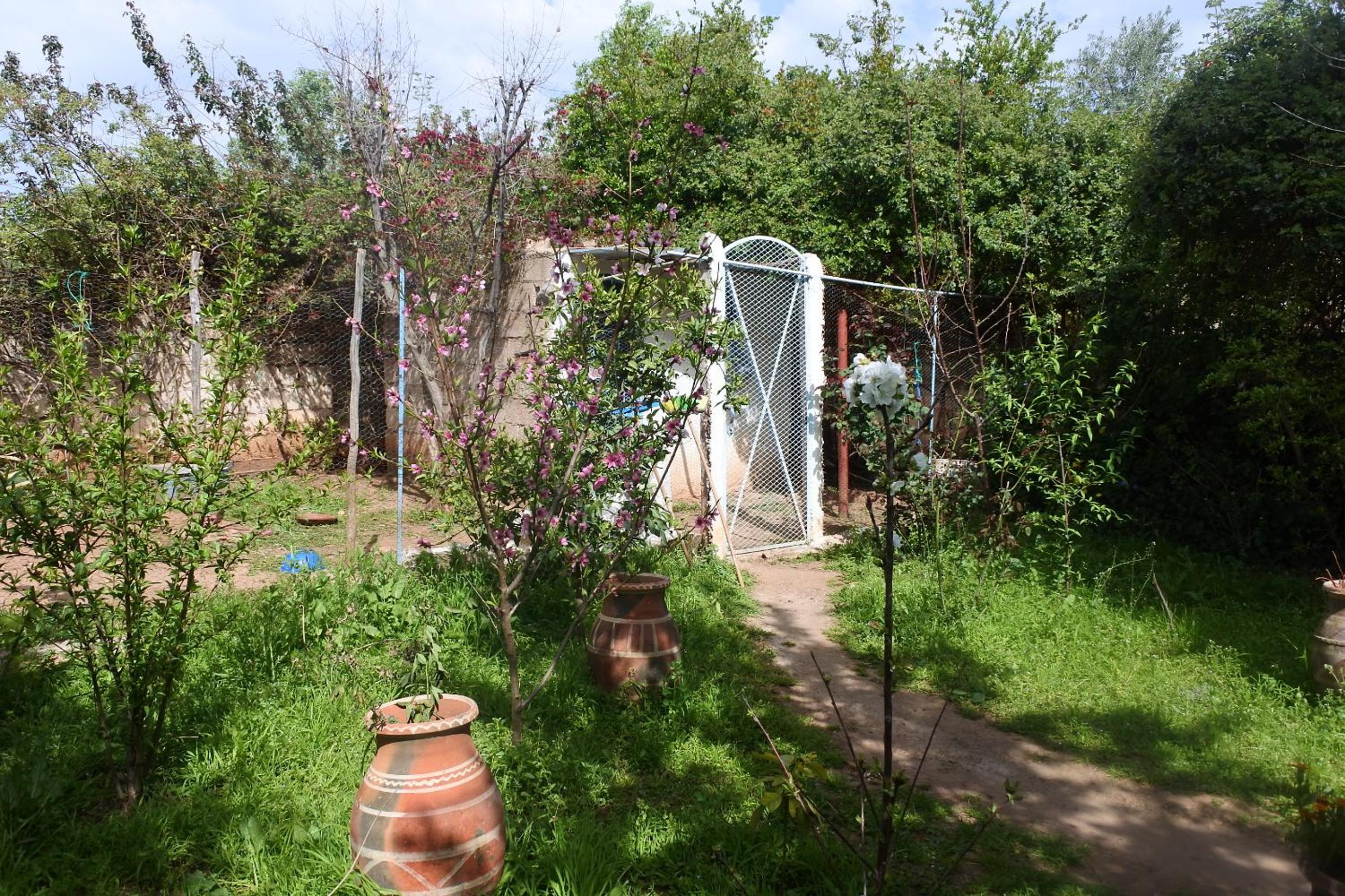 Triple Room - Photo 6
