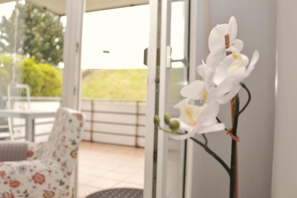 Apartment with Terrace photo 2