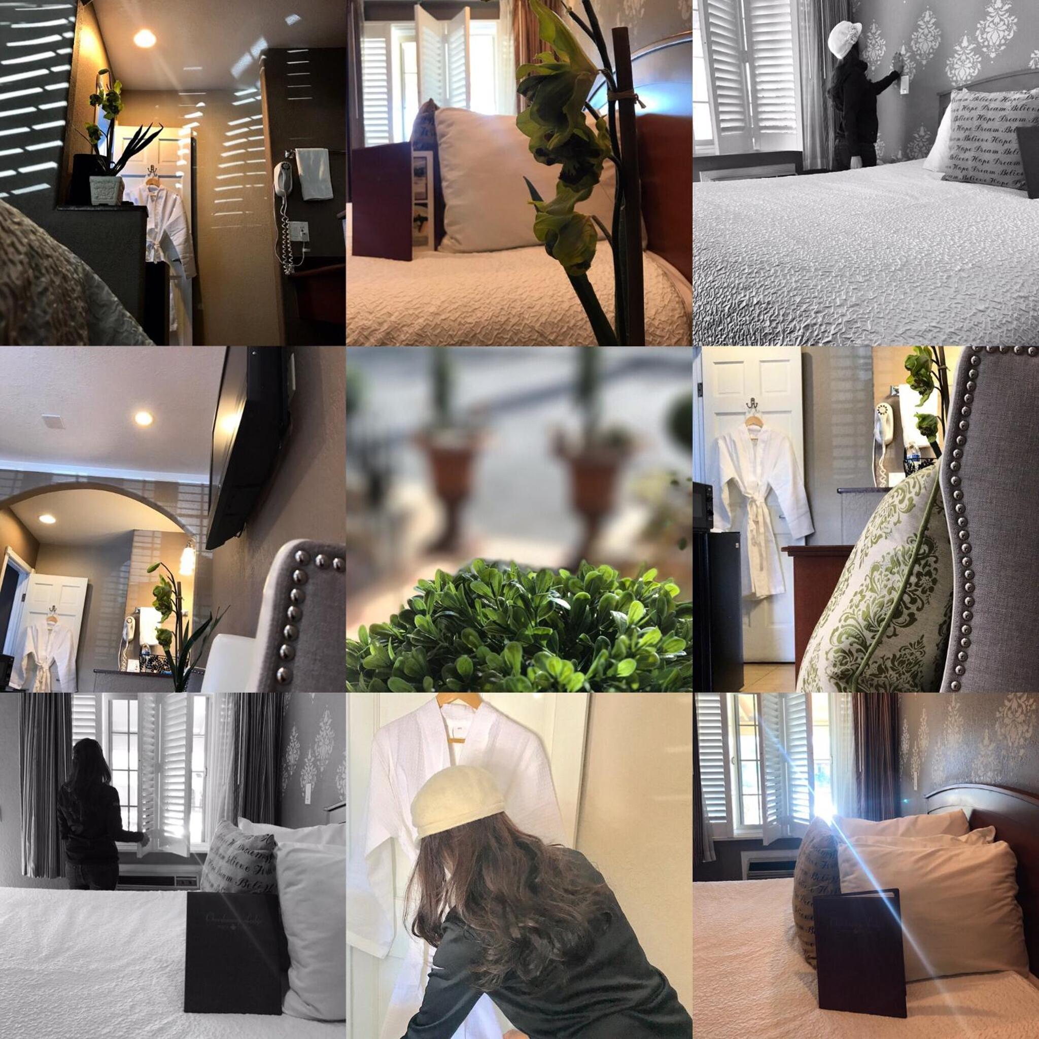 Queen Room - Photo 18