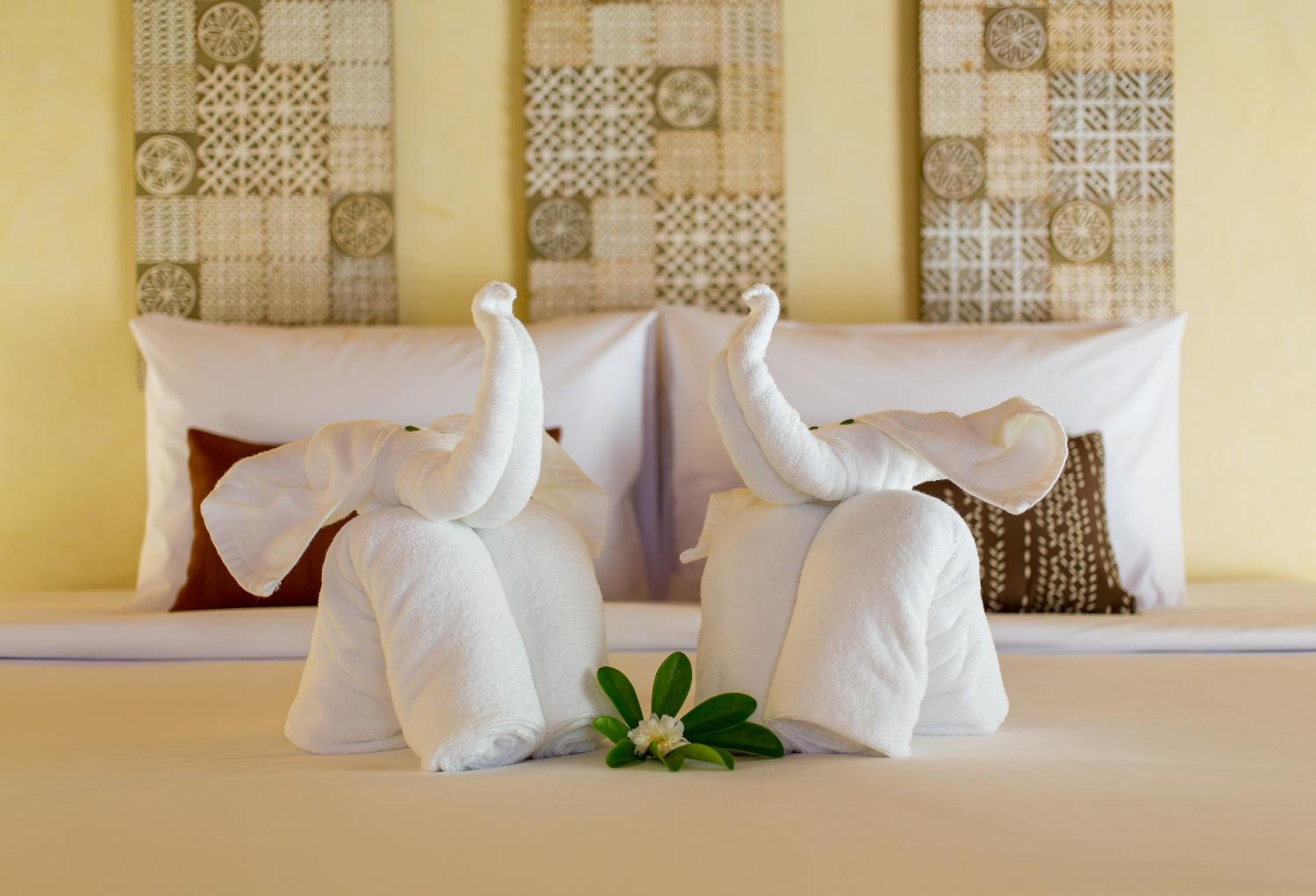 Superior King Room photo 3