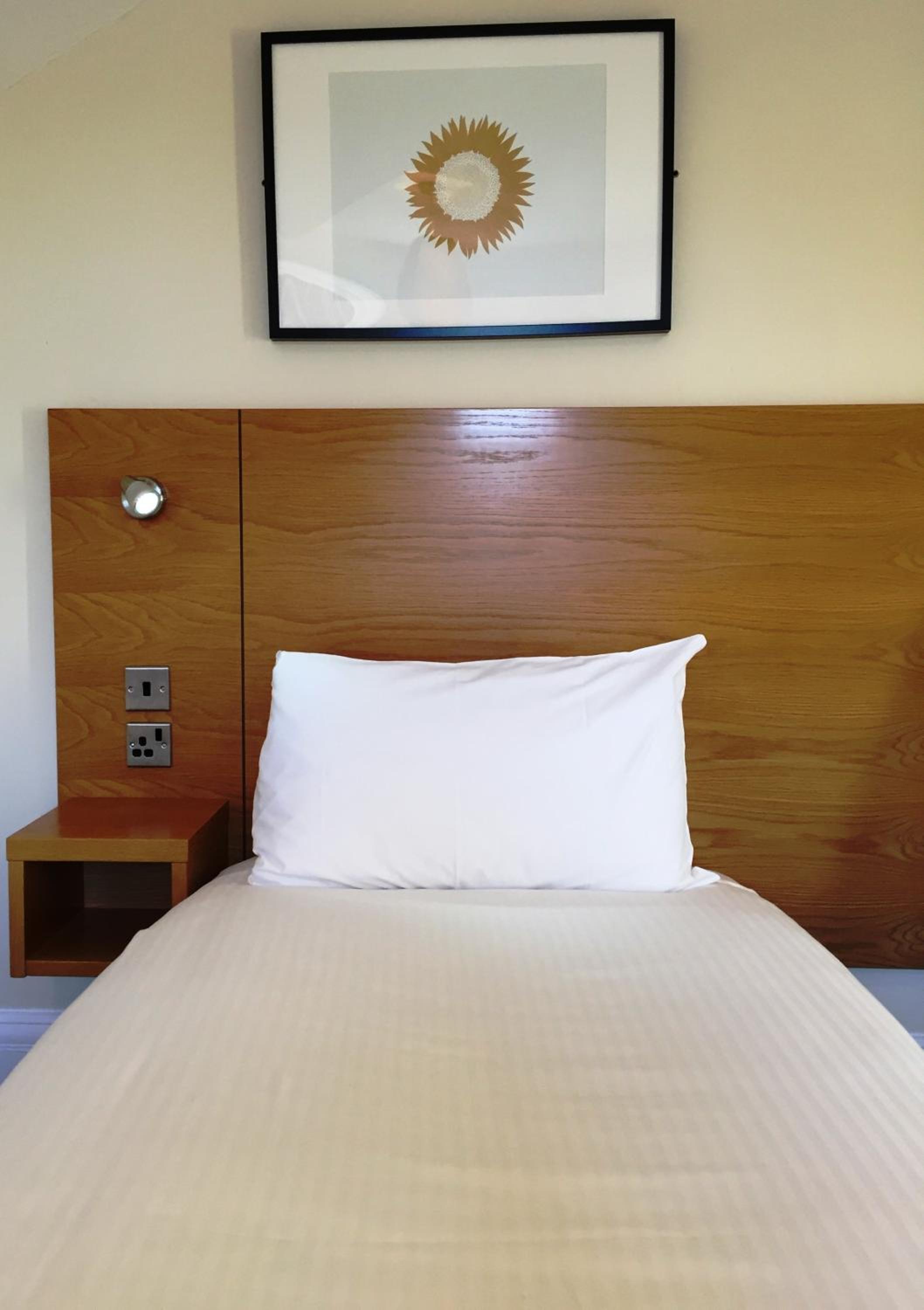 Single Room photo 1