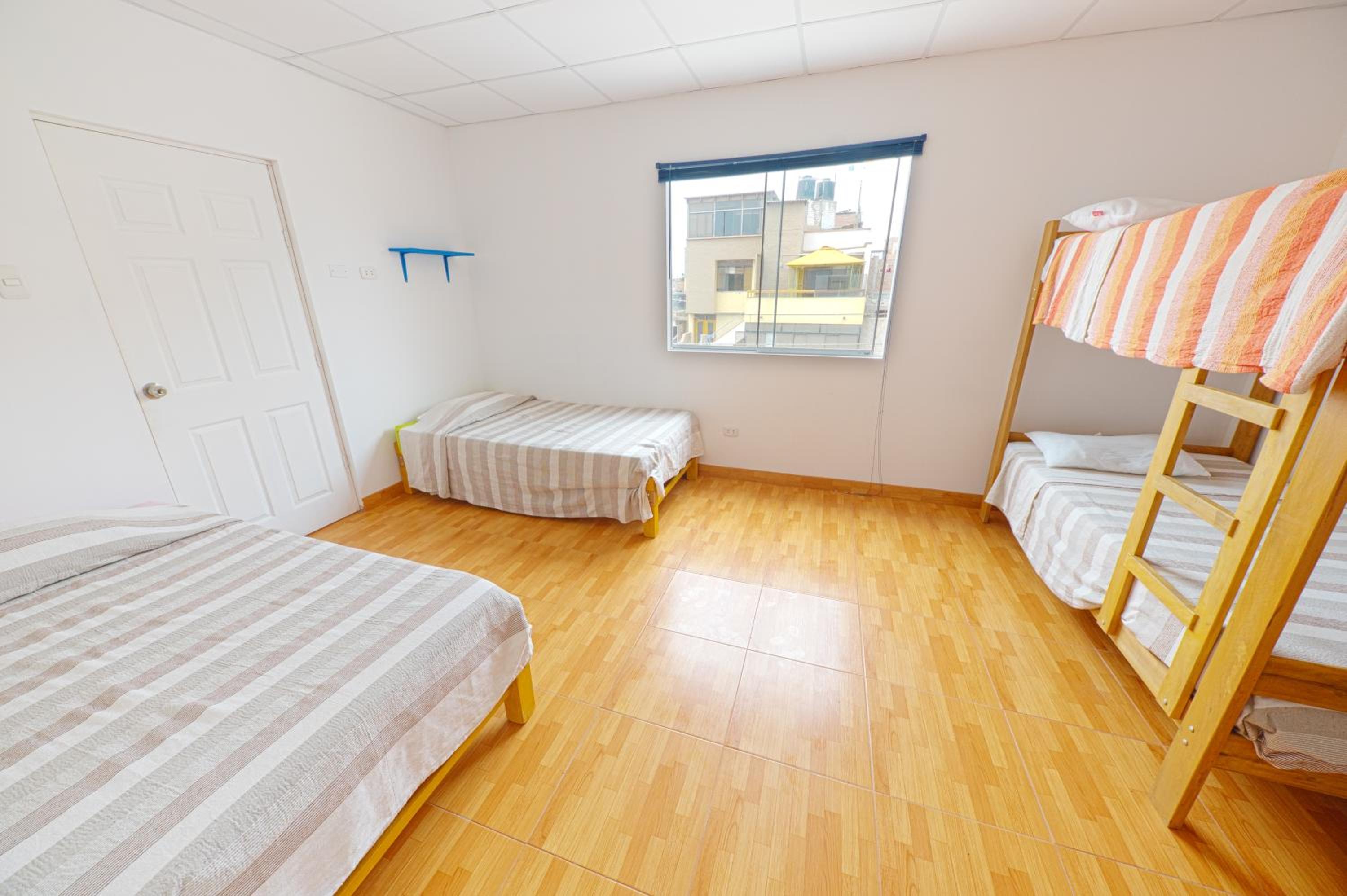 Single Bed in Mixed Dormitory Room photo 1