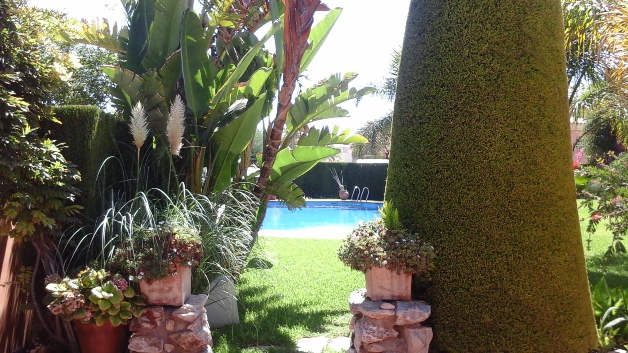 Apartment with Pool View photo 2